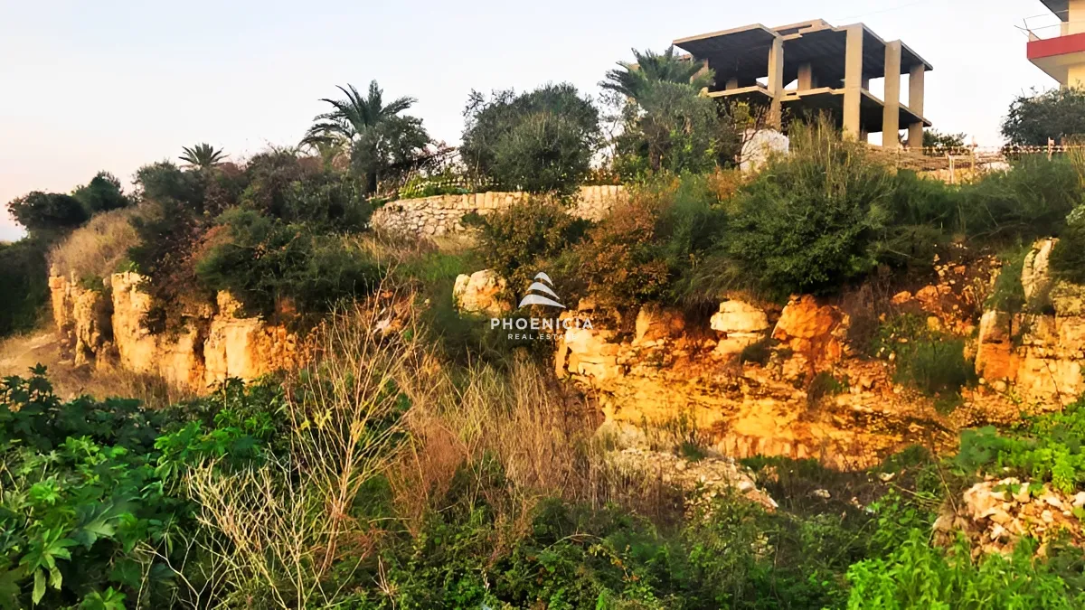 Land for Sale in Aamchit