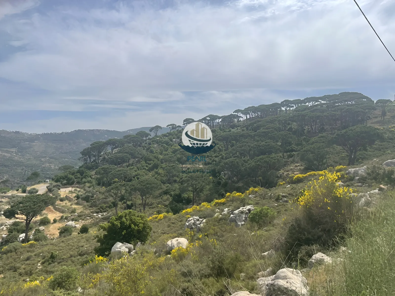 Land for sale in Ainab, lebanon