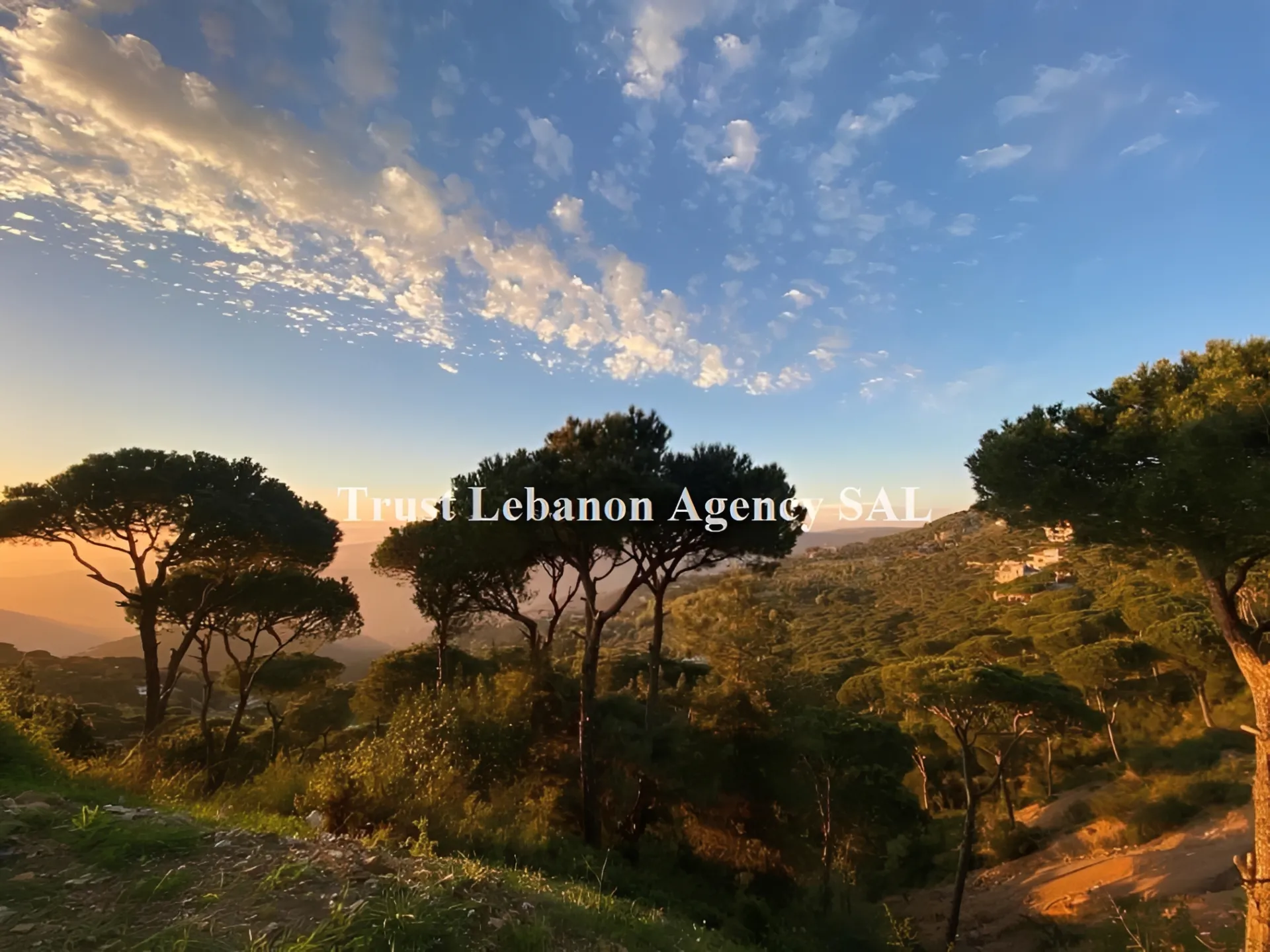 Land for Sale in Bteddine Al Loqc Jezzine