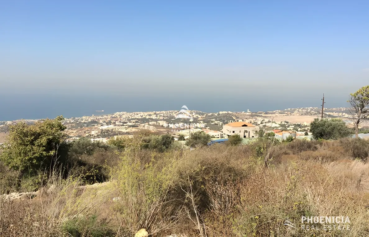 Land for Sale in Edde