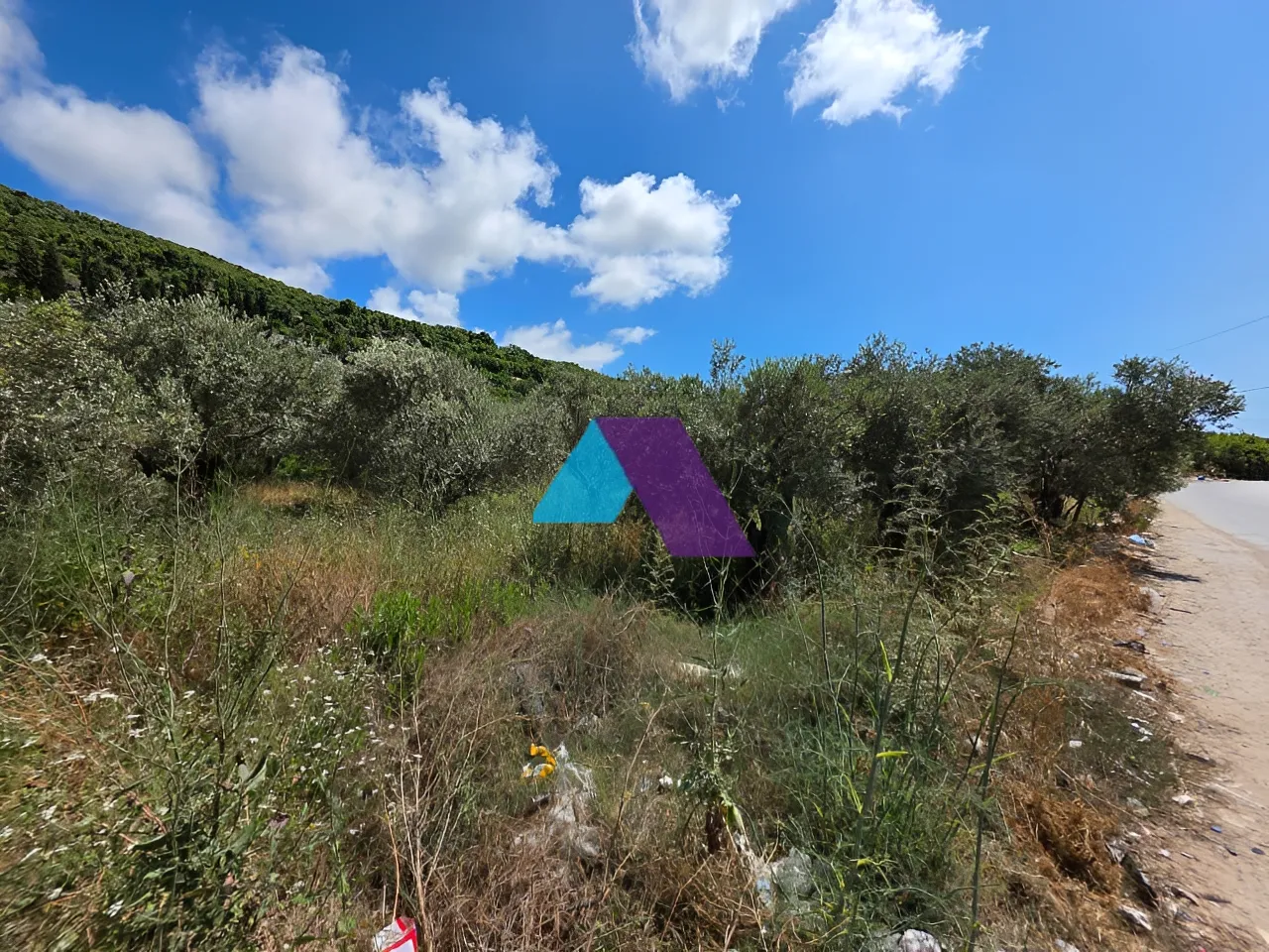 Land for Sale in Batroun