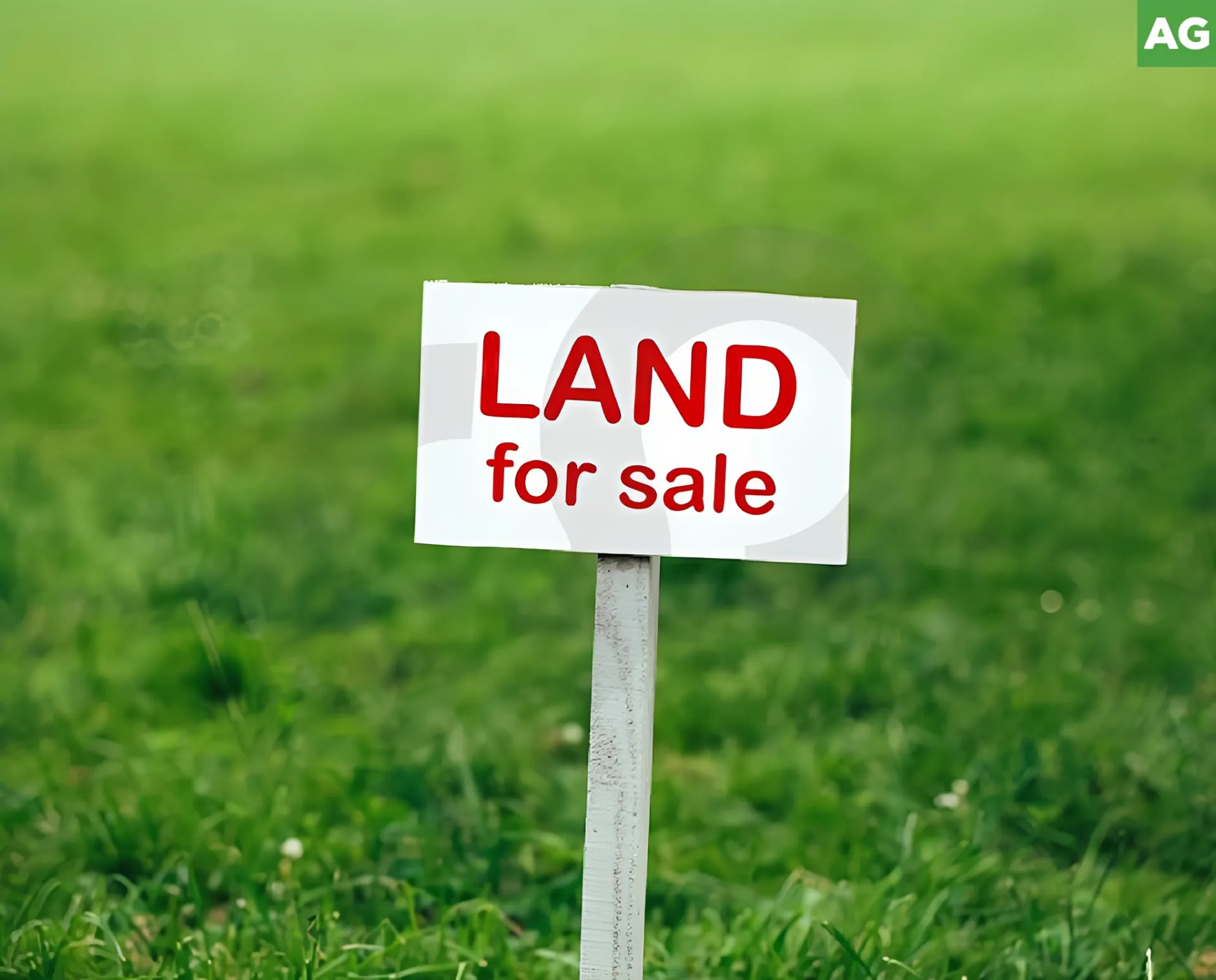 Land for Sale in Maalaqah