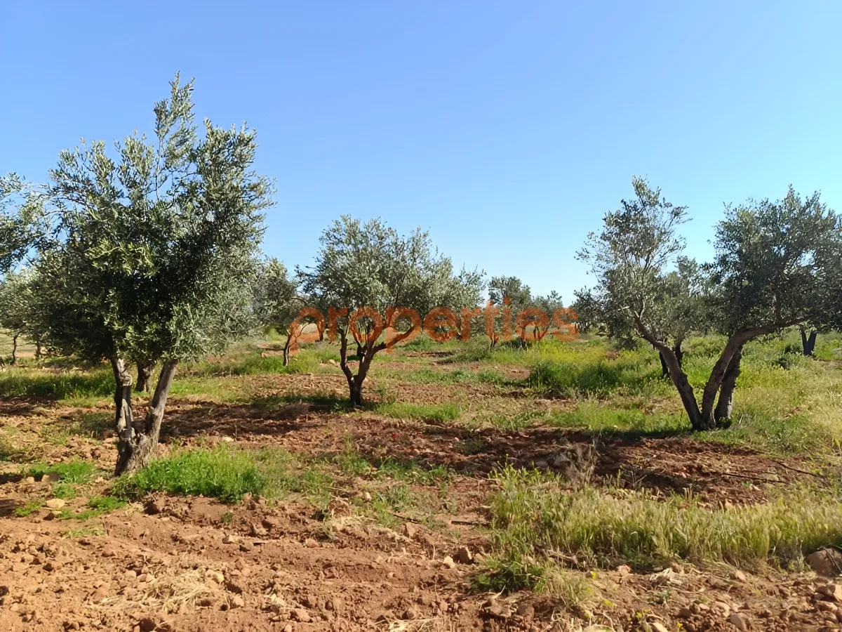 Land for Sale in Western Beqaa District