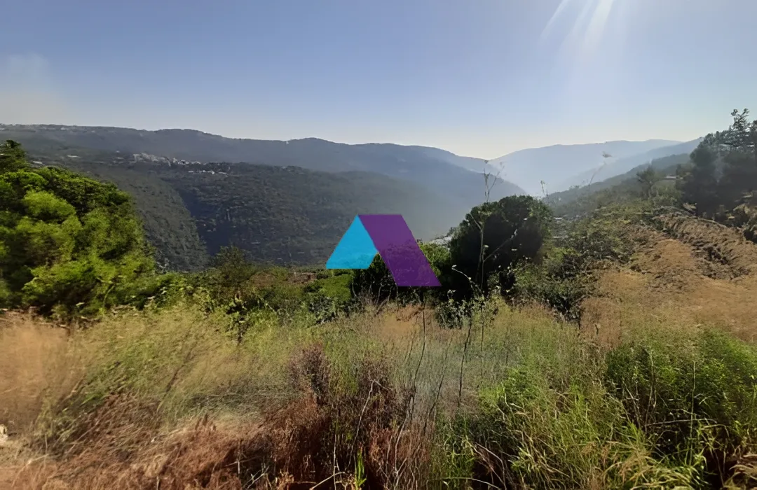 Land for Sale in Beit Meri