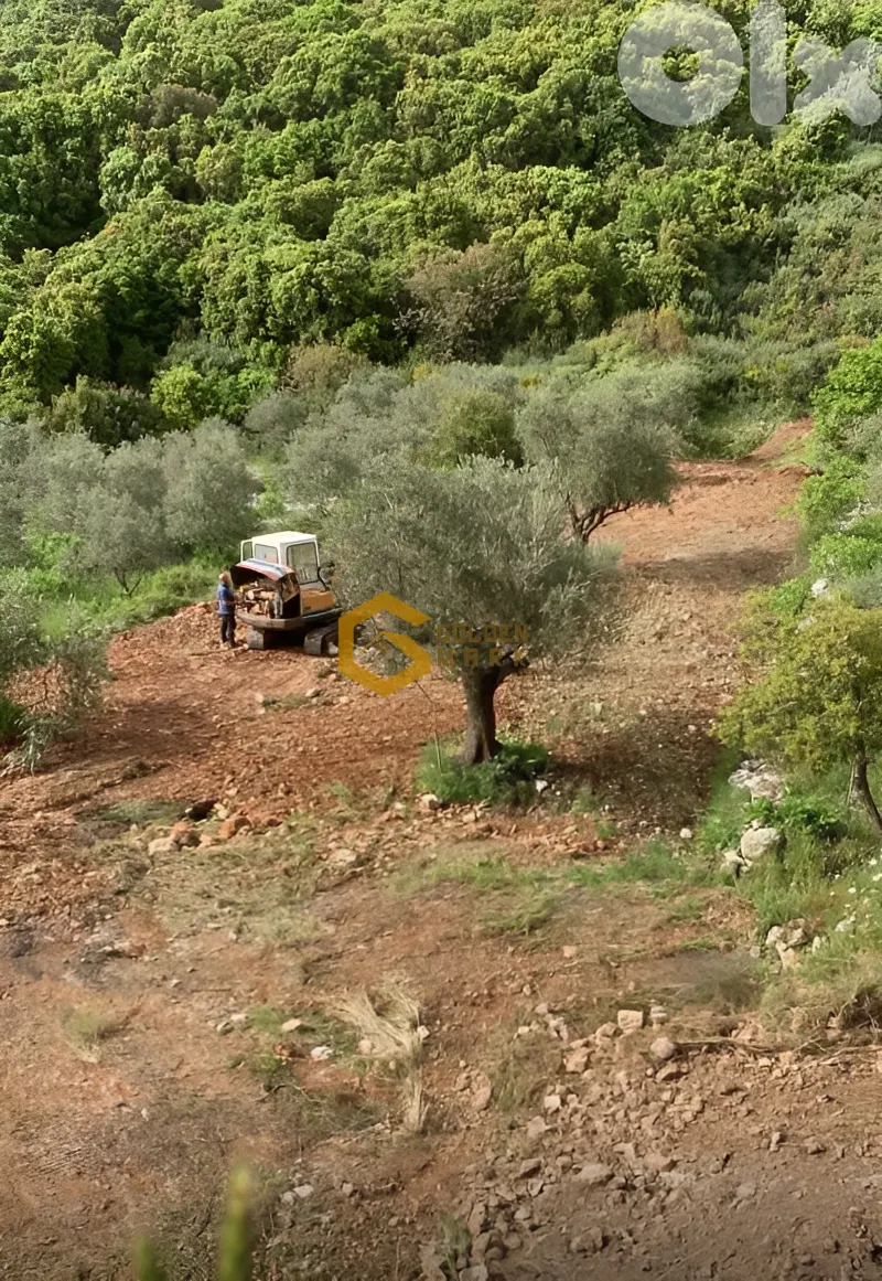 Land for Sale in Bejjeh