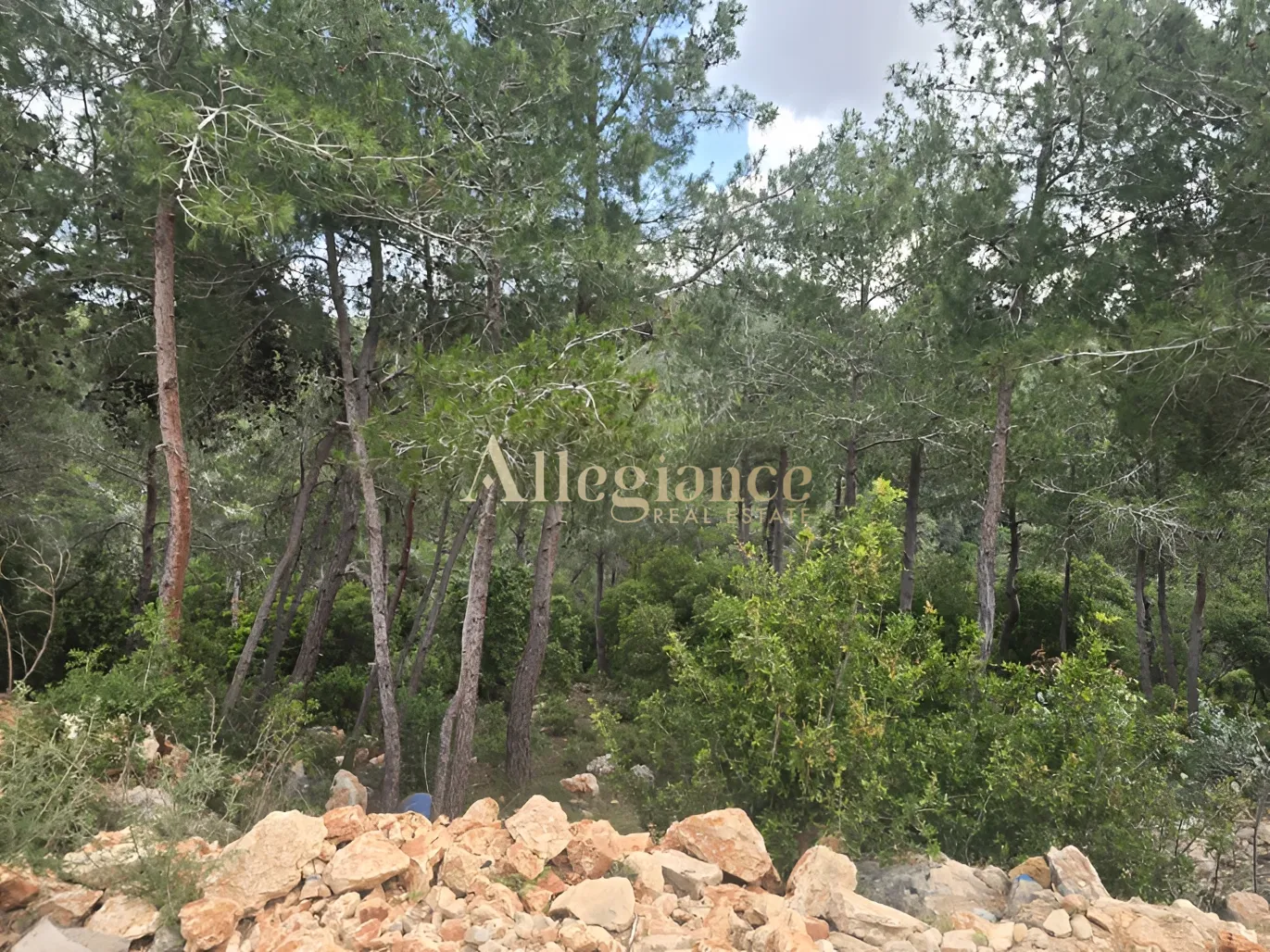 Agricultural Land for sale in Borjein, Lebanon