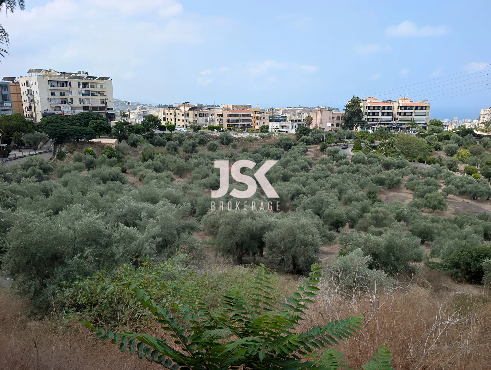 Land for Sale in Sidon