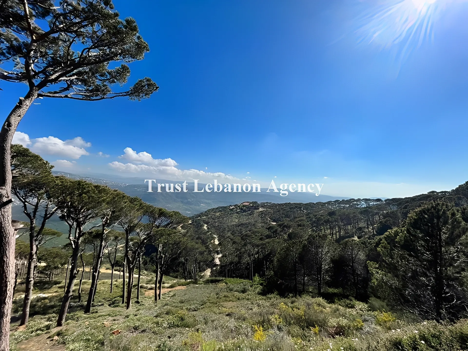 Land for Sale in Metn Al Kaakour Lebanon