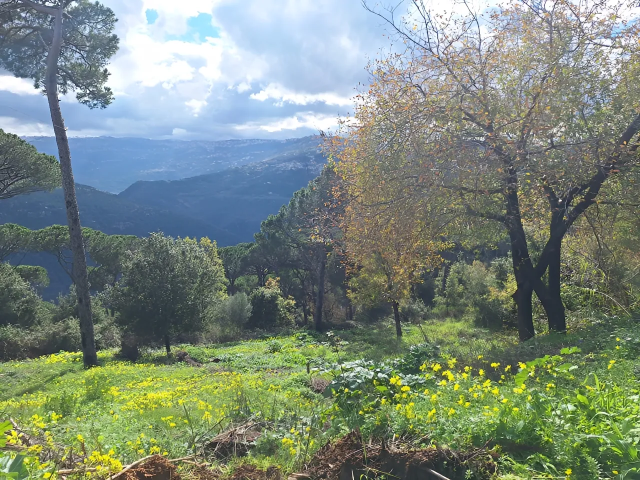 Residential Land for sale in Beit Meri
