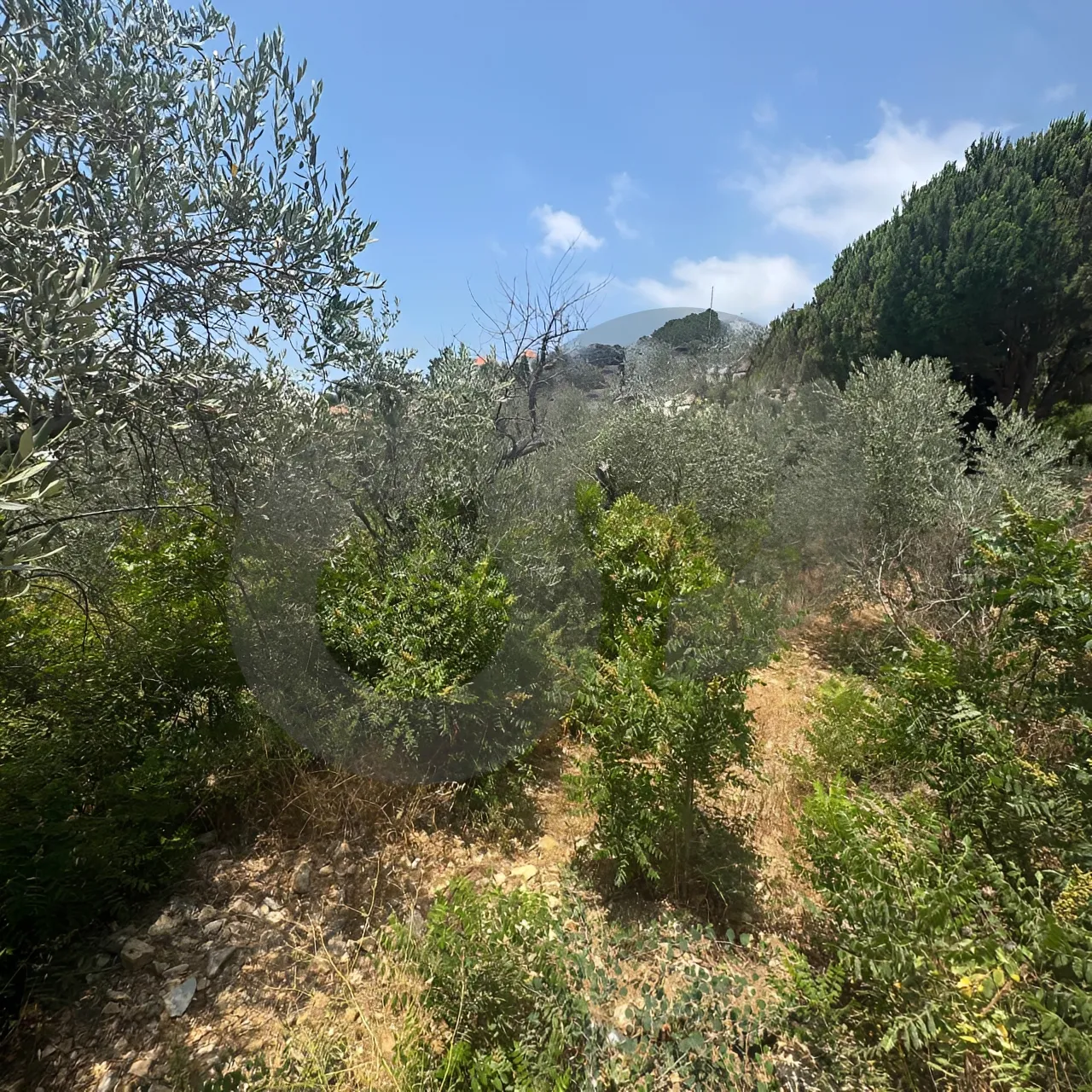 Land for Sale in Mansourieh