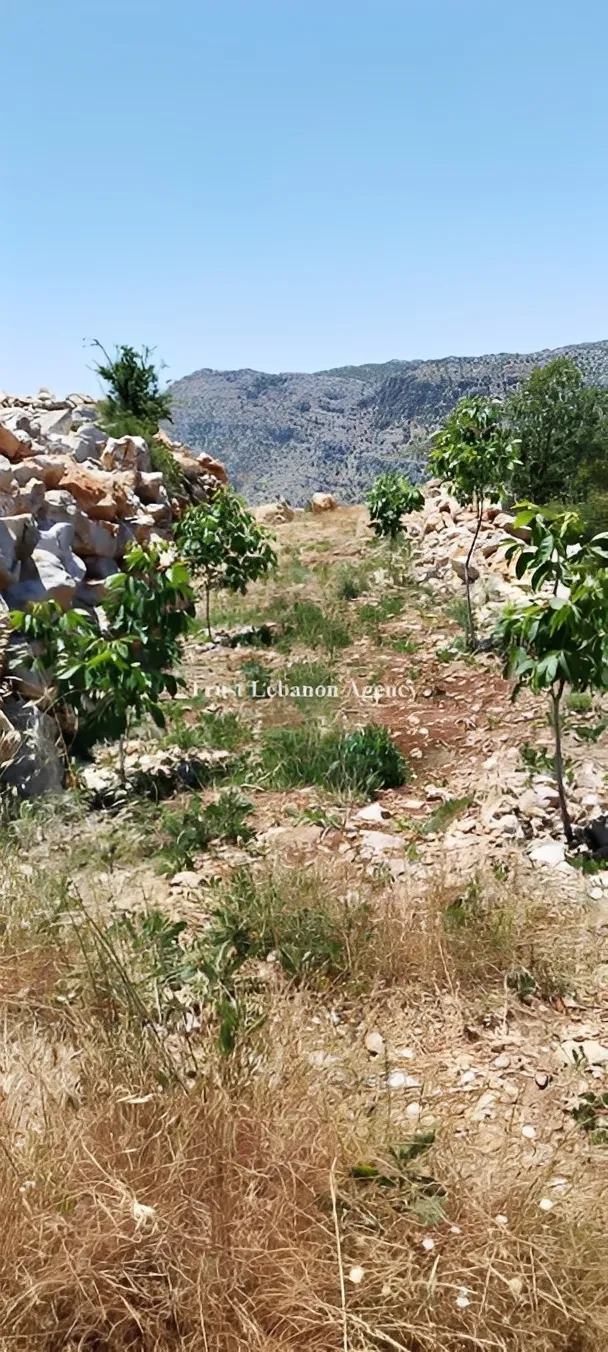 Land for Sale in Nabatiye Lebanon