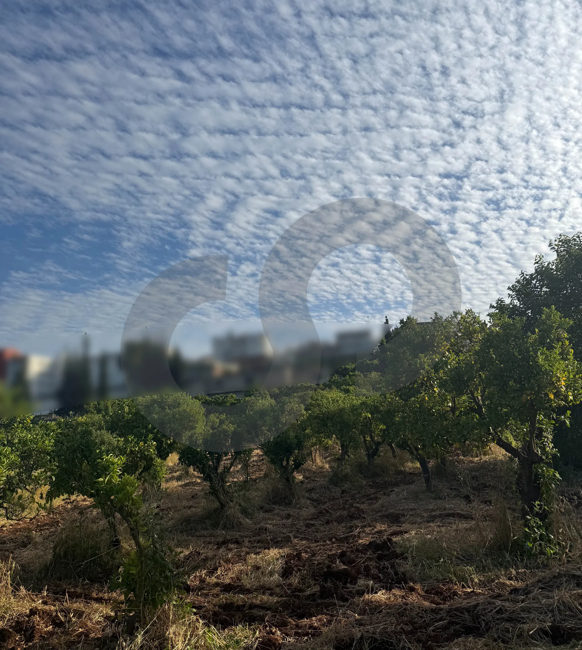 Land for Sale in Zgharta