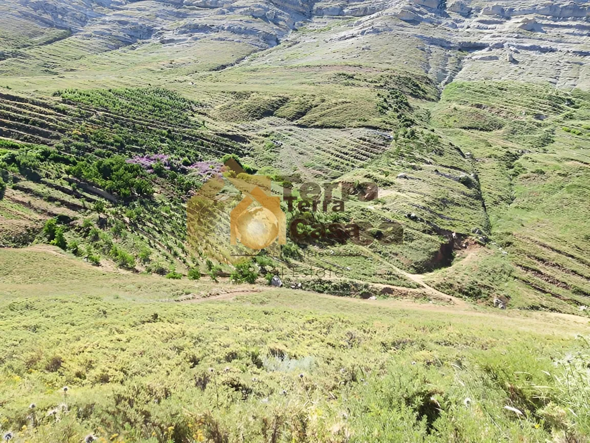 Land for Sale in Tannourine Batroun North