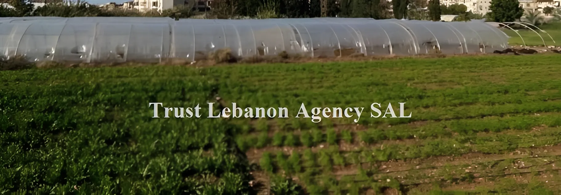 Land for Sale in Alay, chweifat