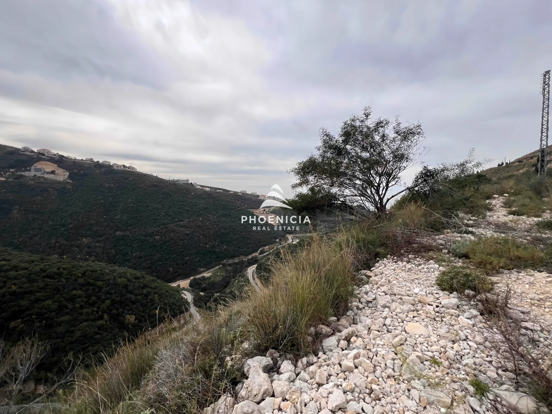 Land for Sale in Edde