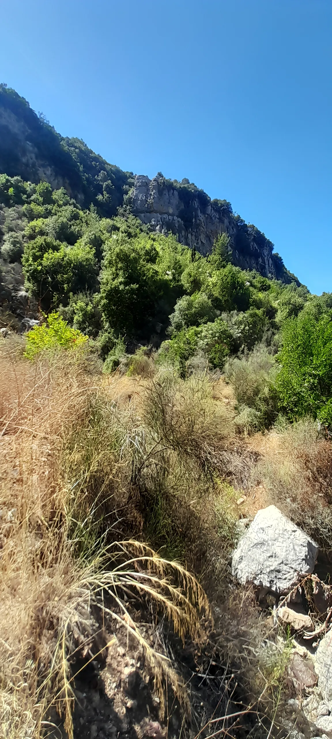Land for sale in Yahchouch, lebanon