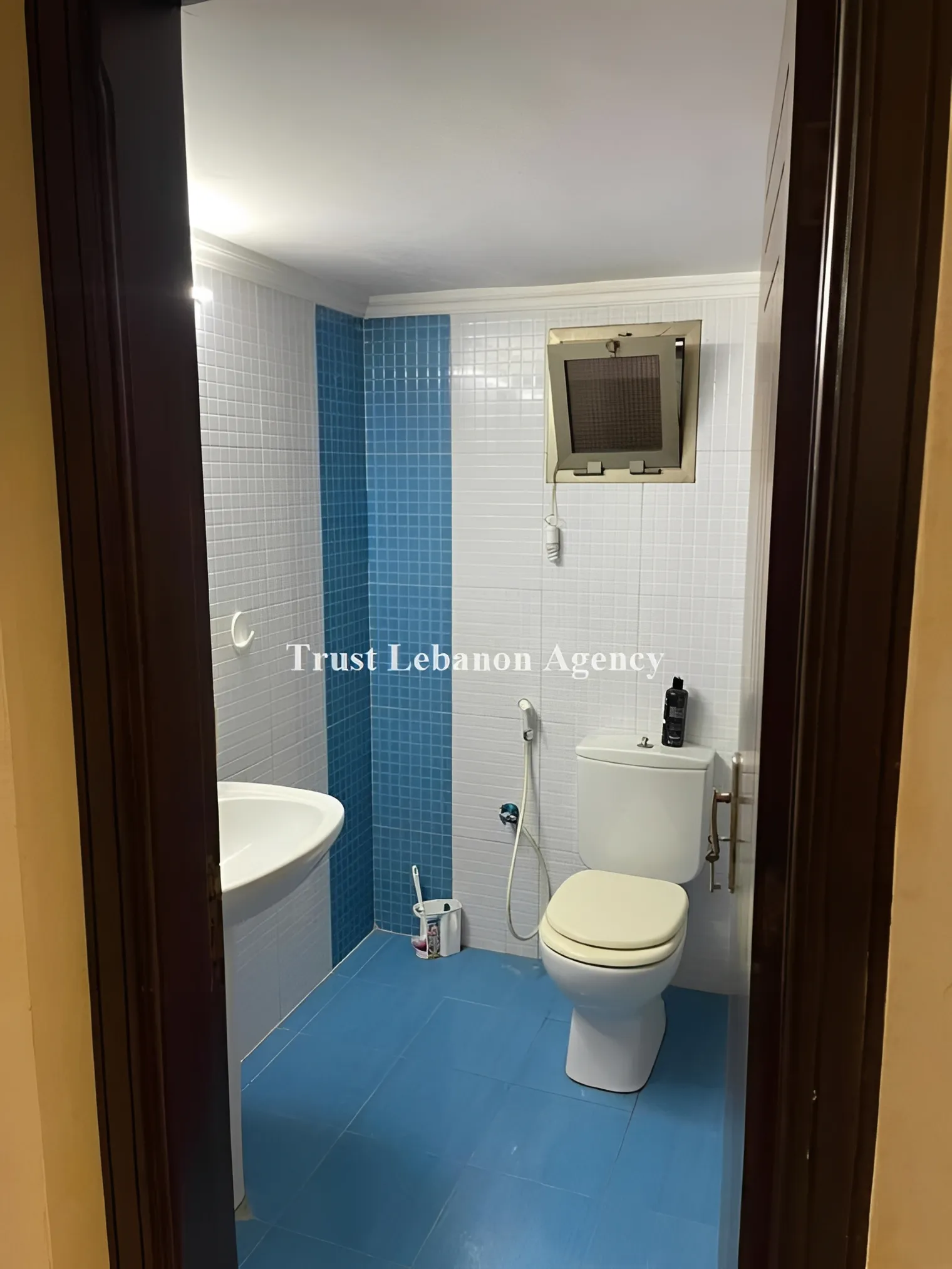 Apartment for Sale in Barbour Beirut Lebanon