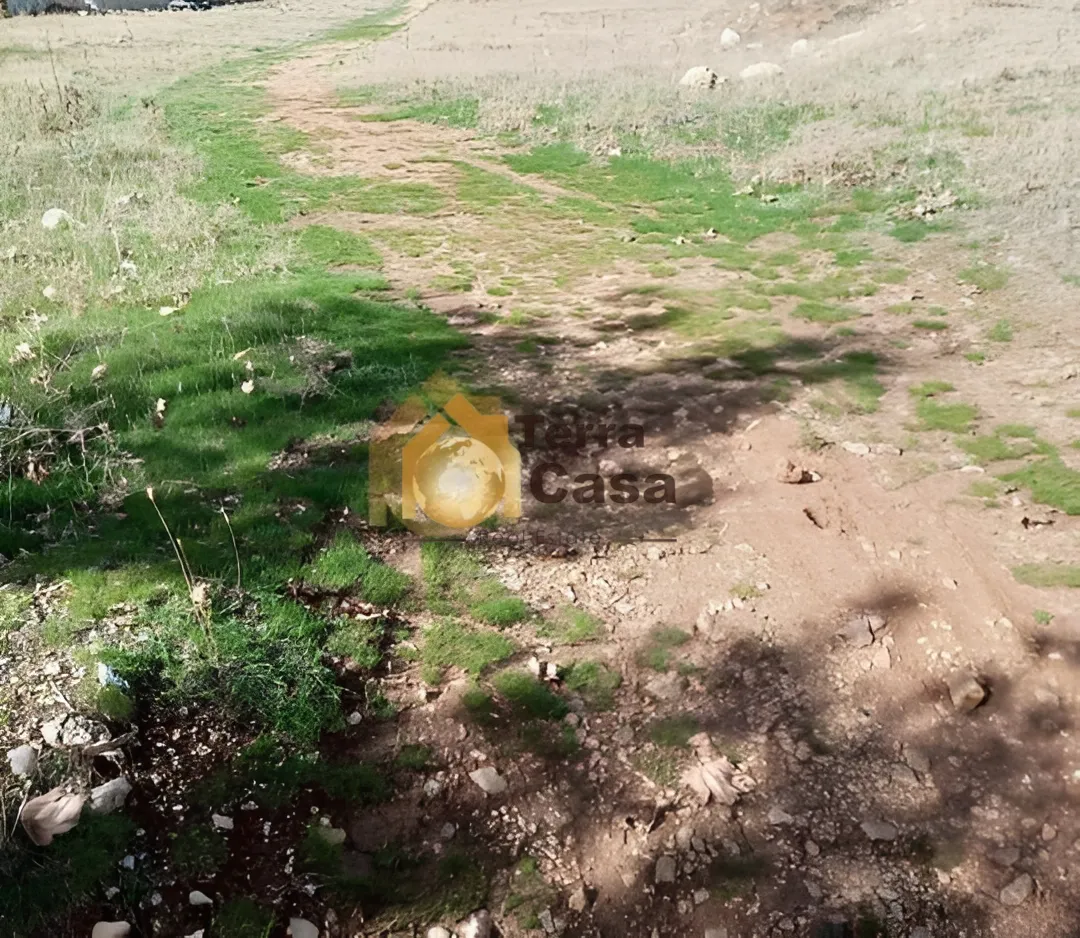Land for Sale in Jdita 4251 Sqm Prime Location