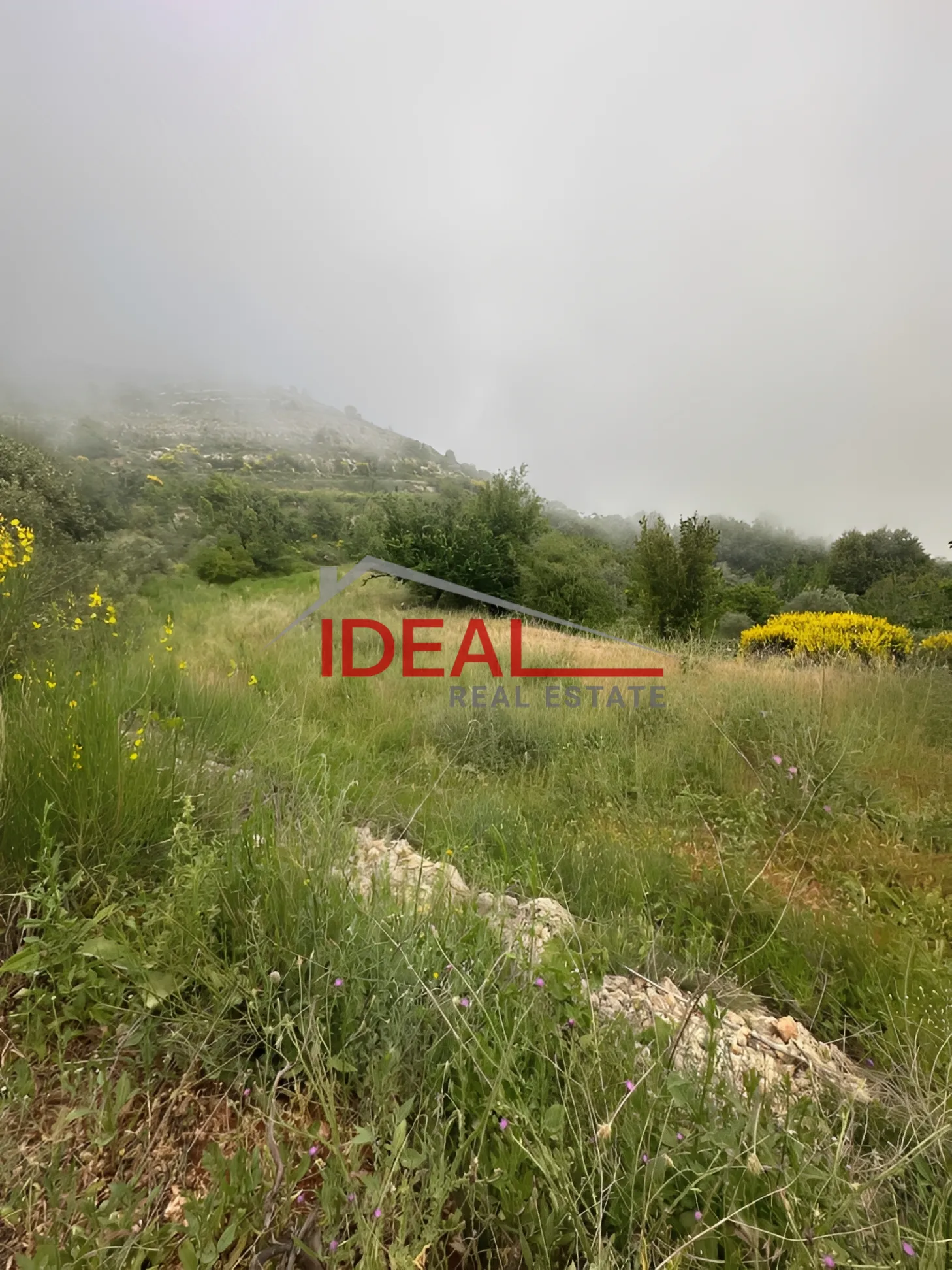 Land for Sale in Jbaa, Lebanon