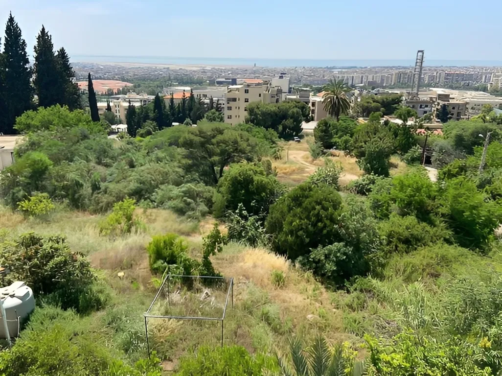 Land for Sale in Hadath