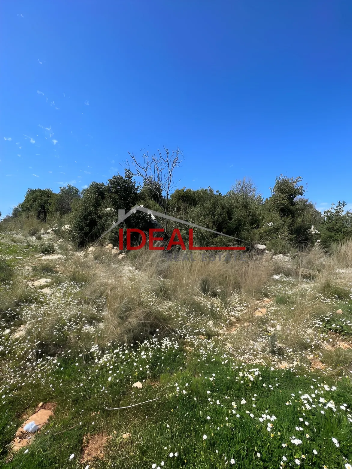 Land for Sale in Assia, Lebanon