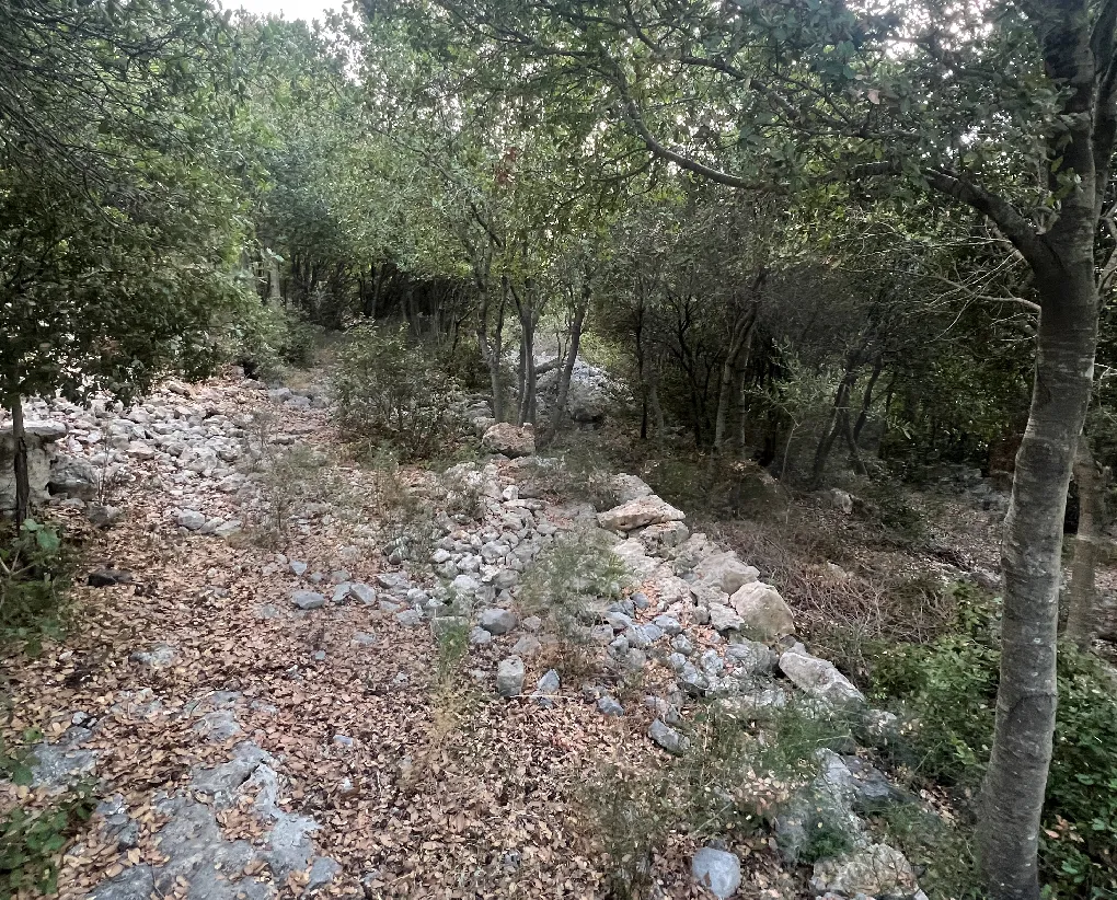 Land for Sale in Aabeidat