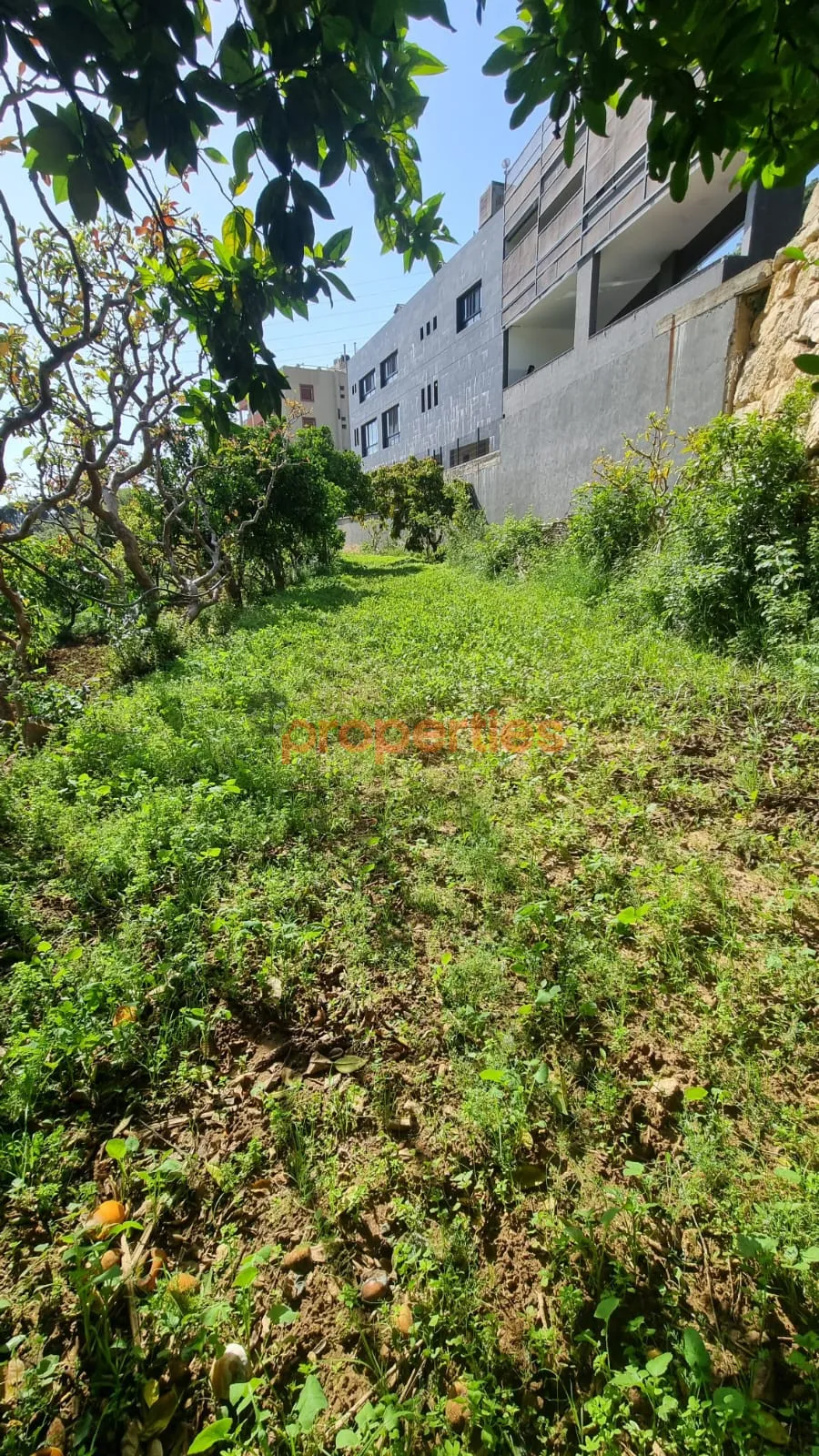 Residential Land for Rent in Kahaleh
