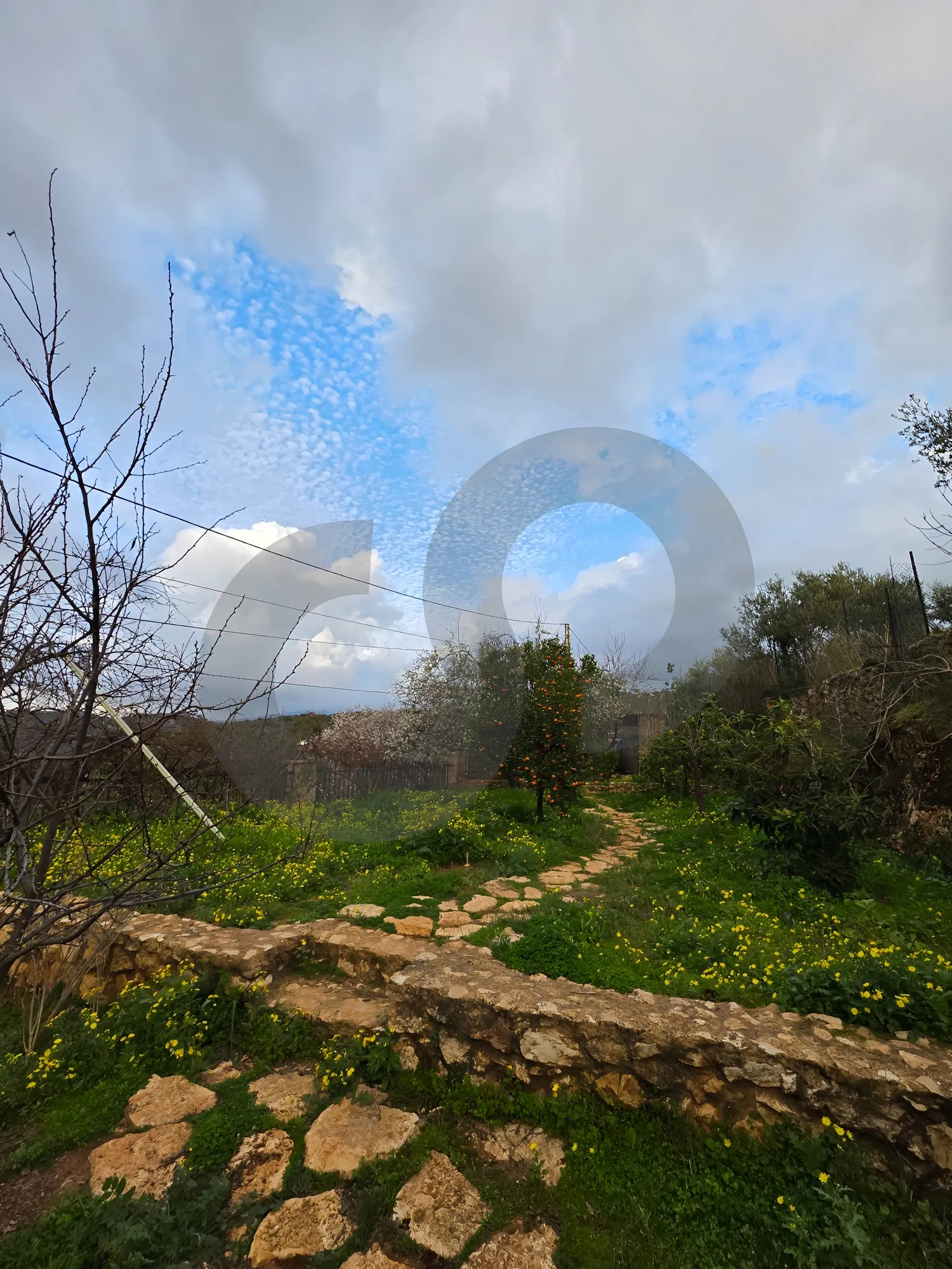 Villa for Sale in Dibbiyeh