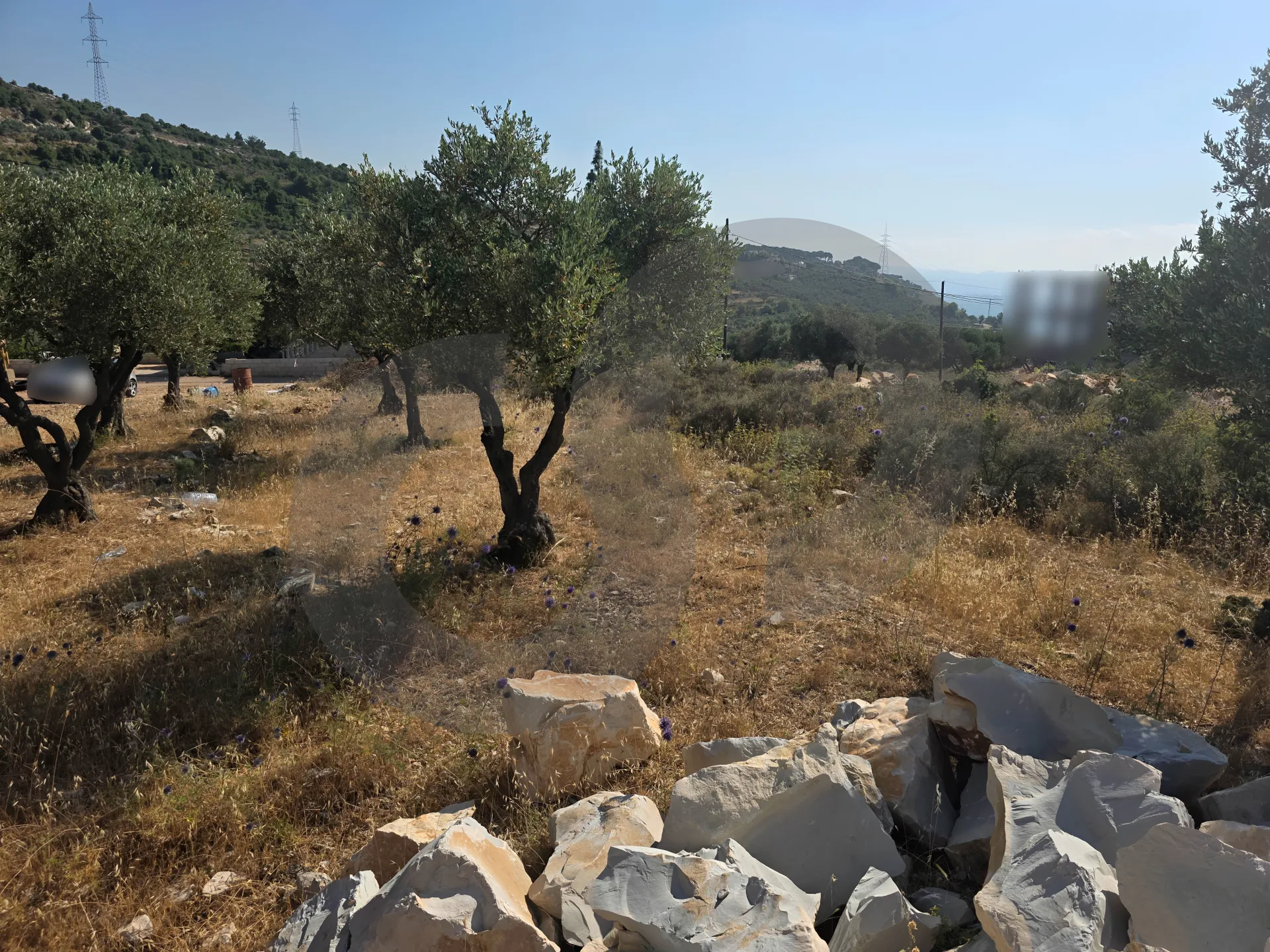 Land for Sale in Koura