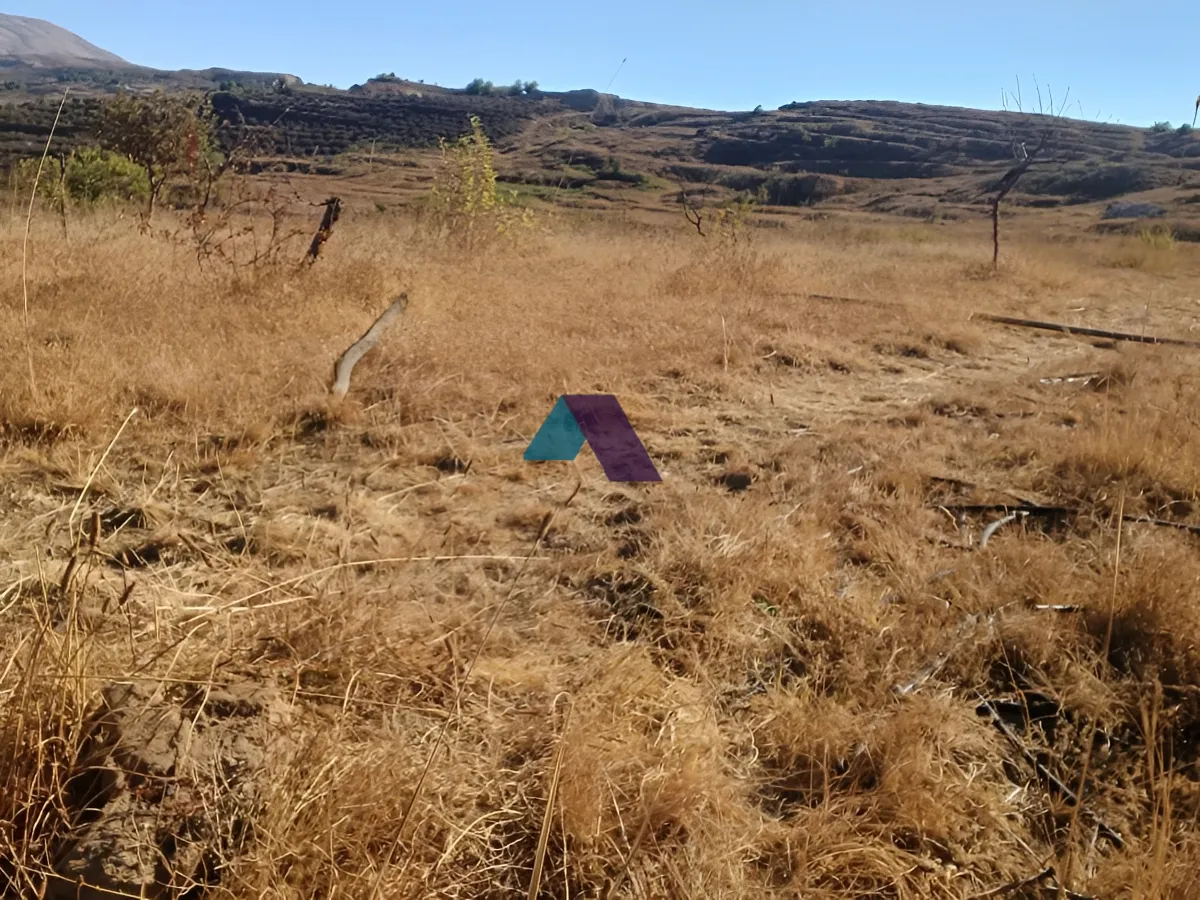 Land for Sale in Tarchich