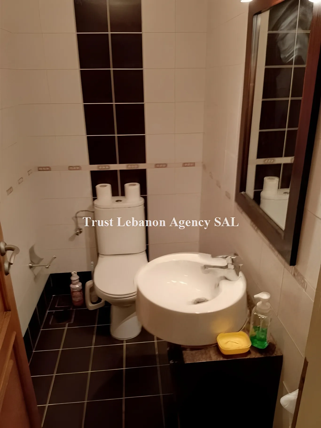 Apartment for Rent in Ashrafieh Beirut Lebanon