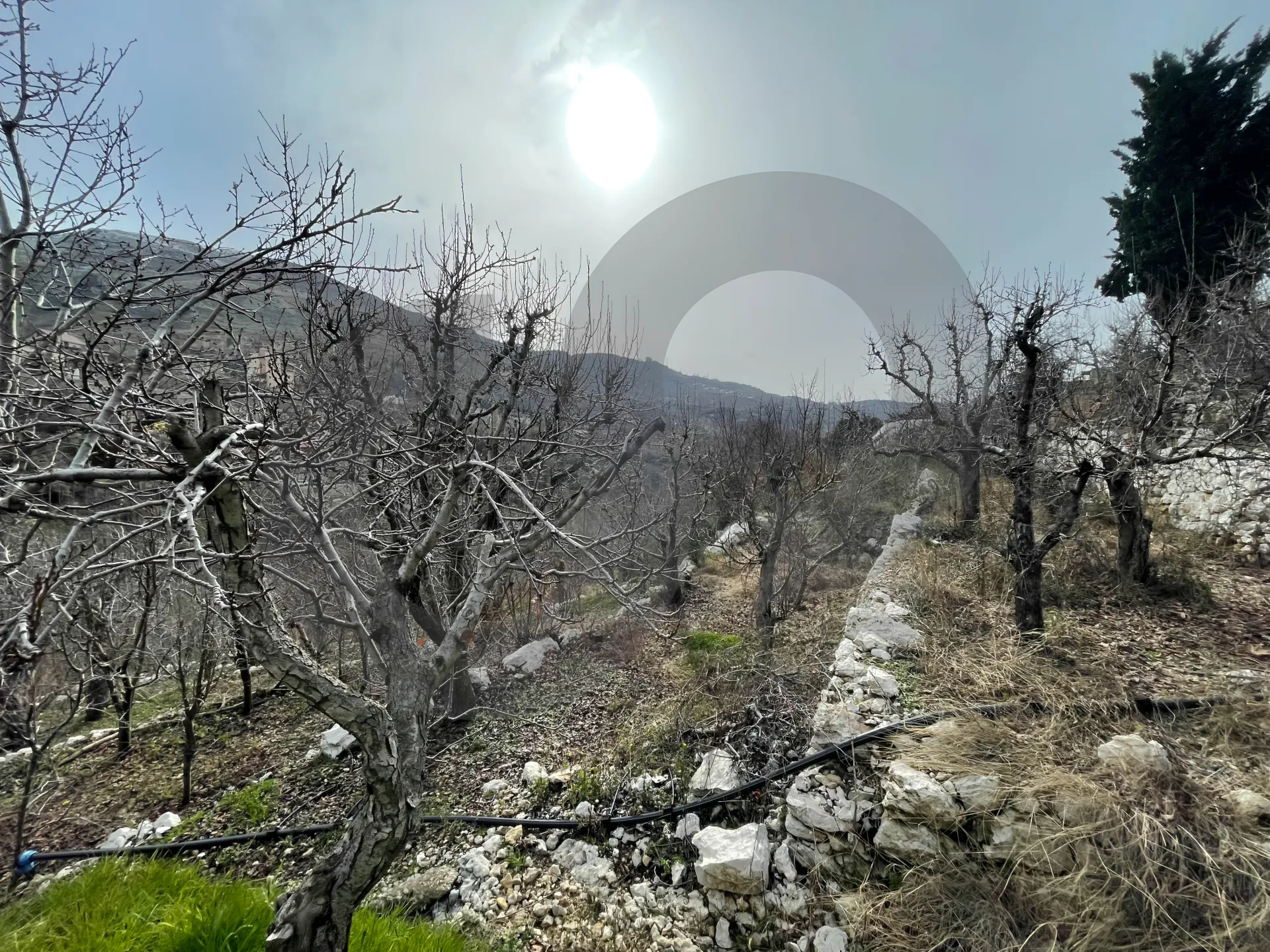 Land for Sale in Faraya