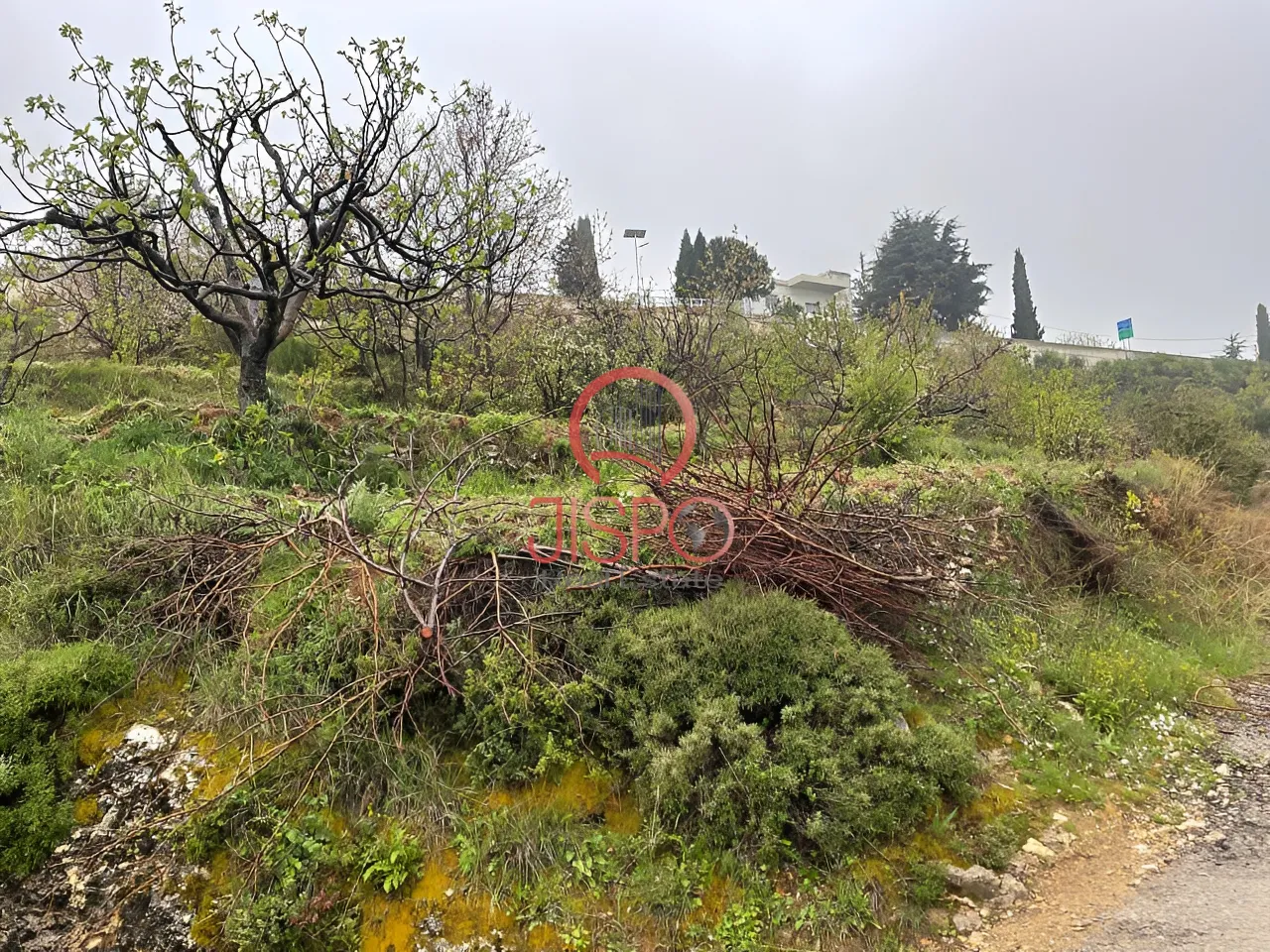 Land for Sale in Hadtoun