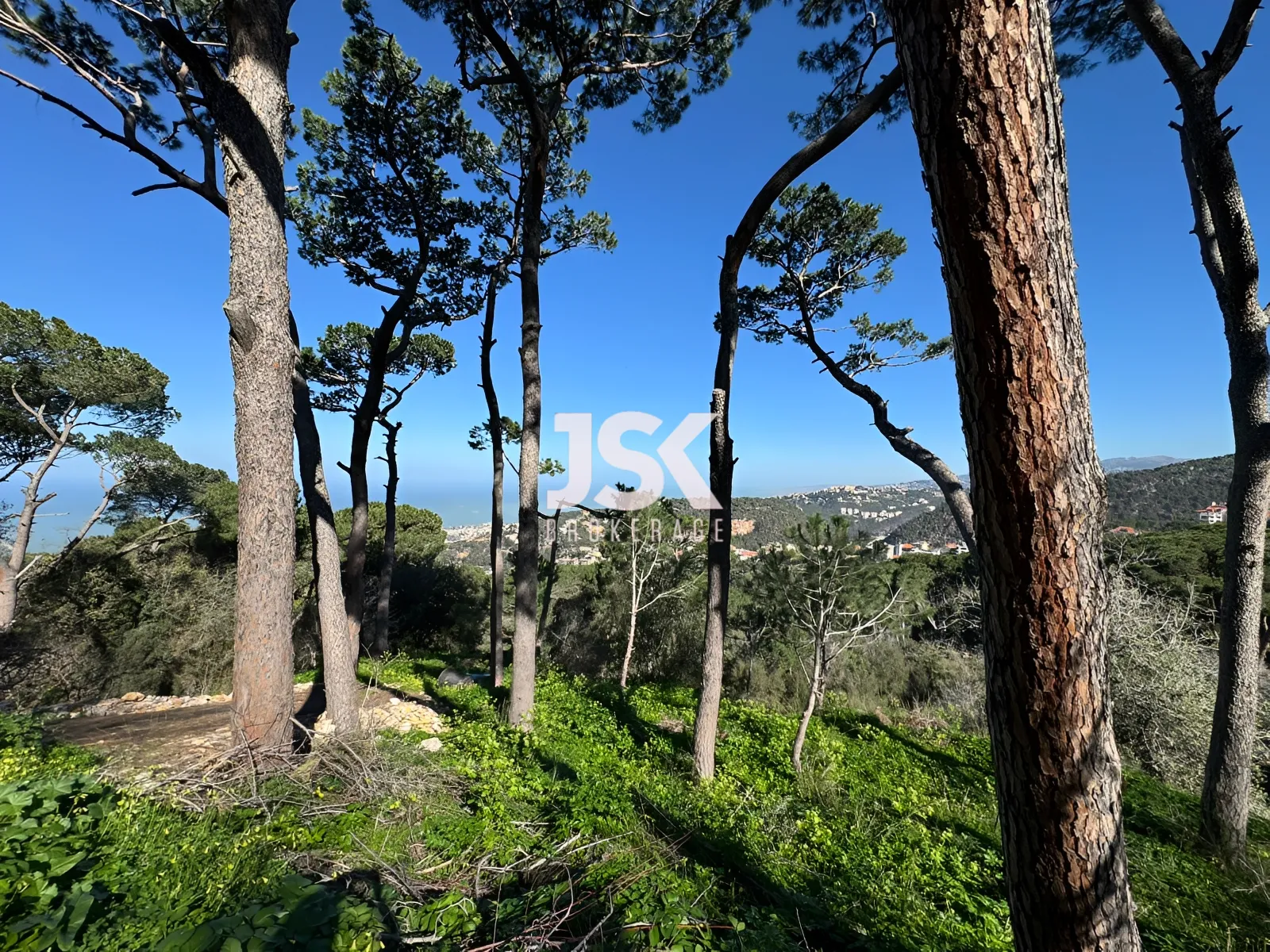Land for Sale in Broummana