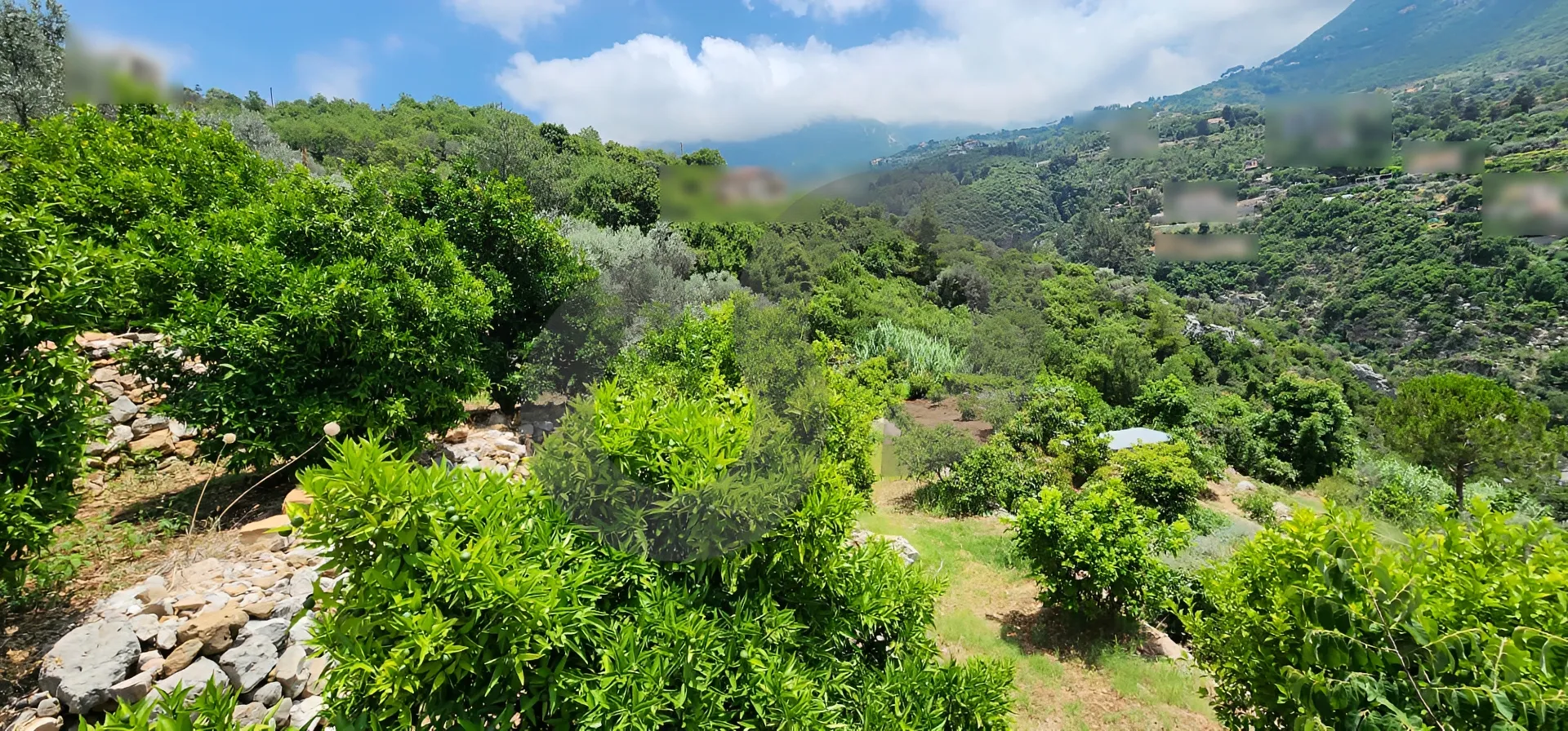 Land for Sale in Byblos