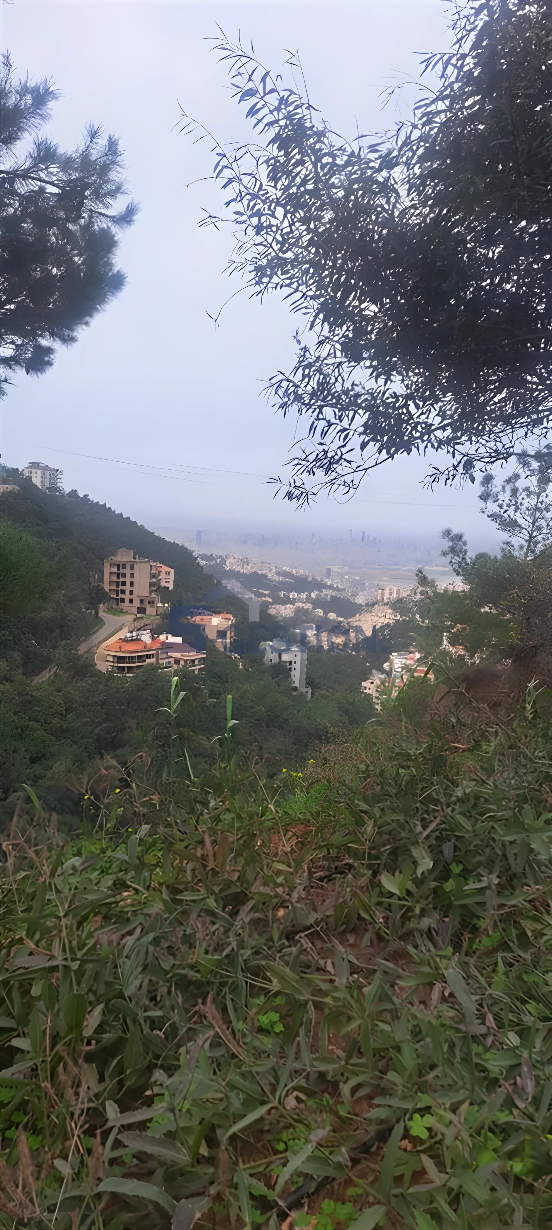 Land for Sale in Bayada