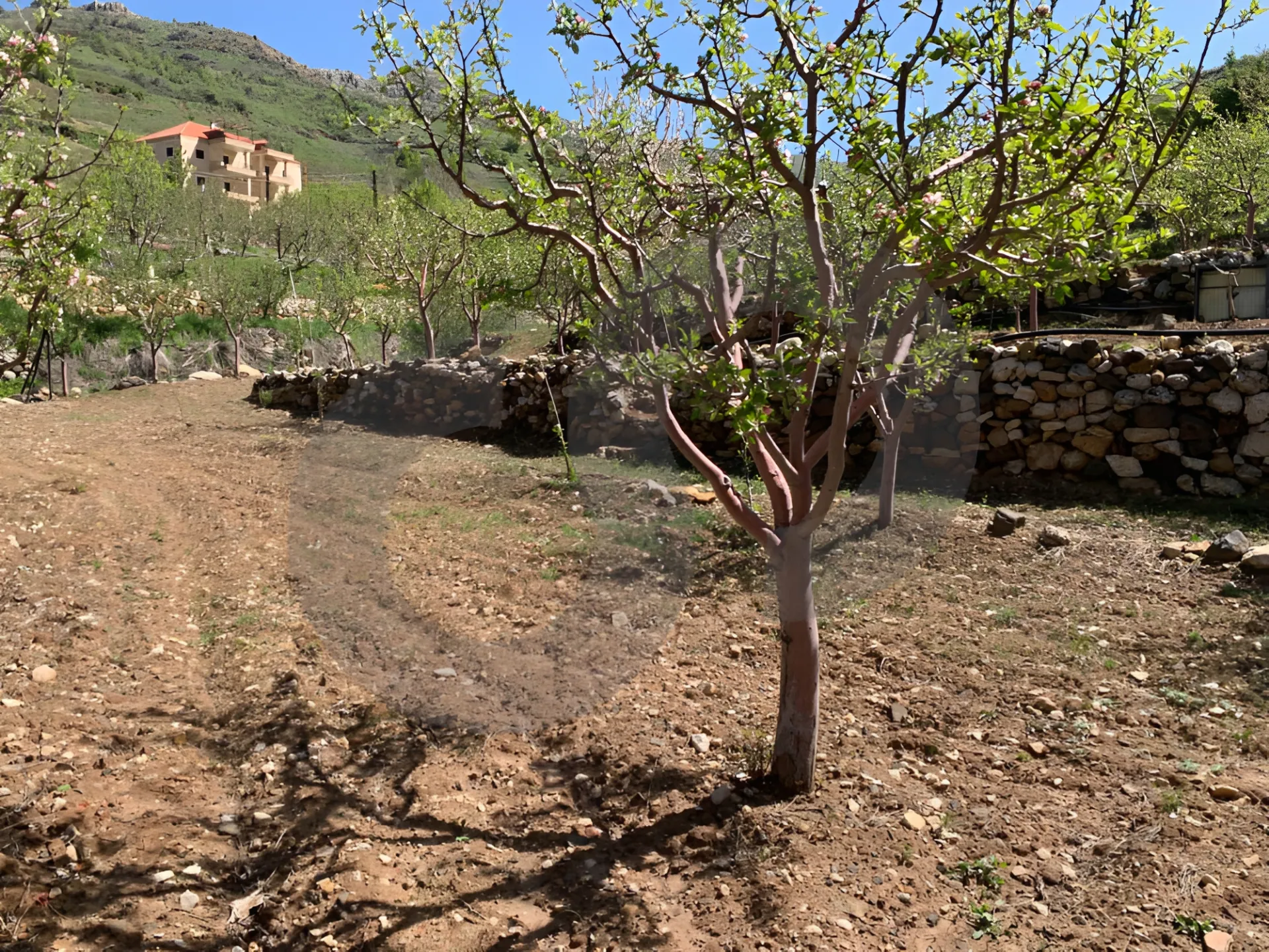 Land for Sale in Tannourine El Tahta