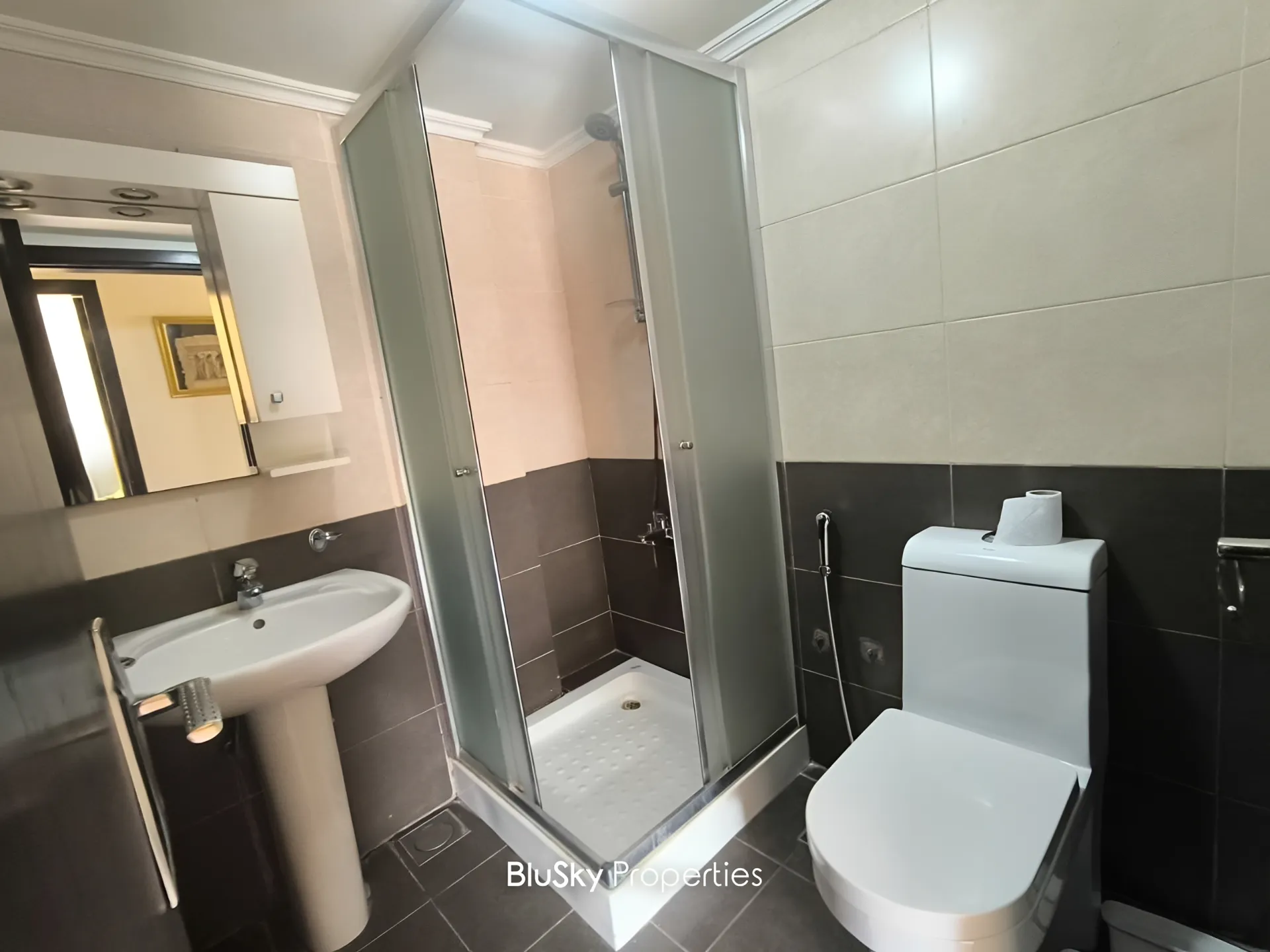Apartment for rent in Aoukar, lebanon