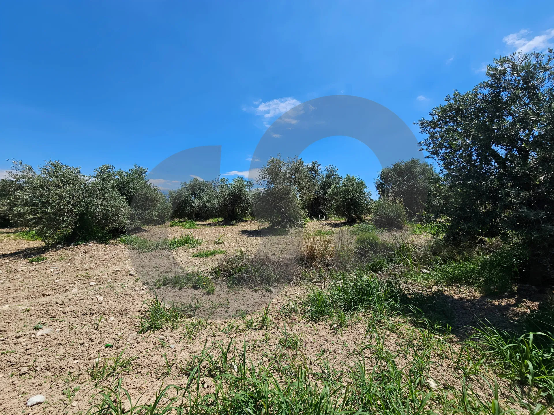 Land for Sale in Zgharta