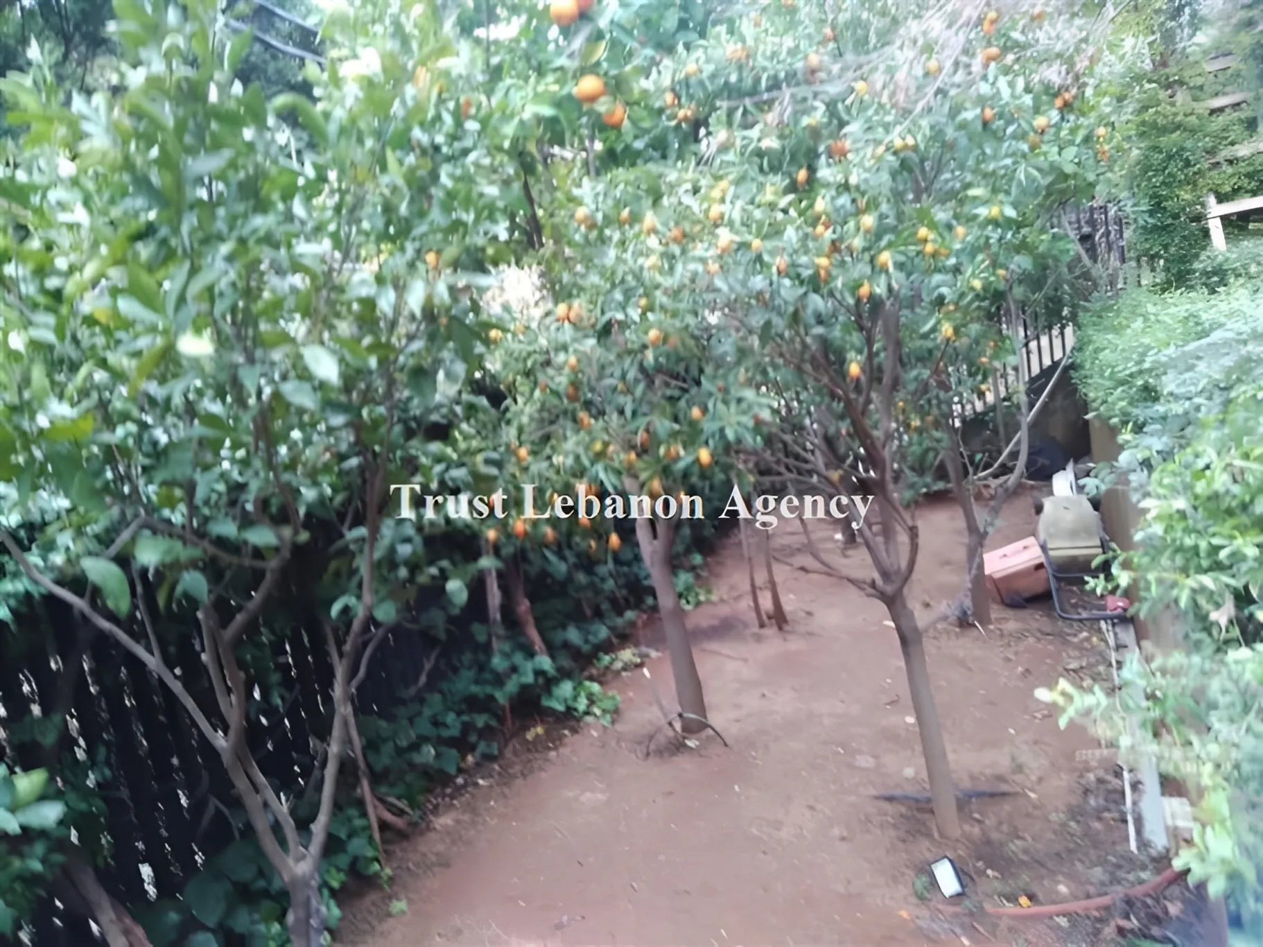 Apartment for Sale in Baabda yarzeh