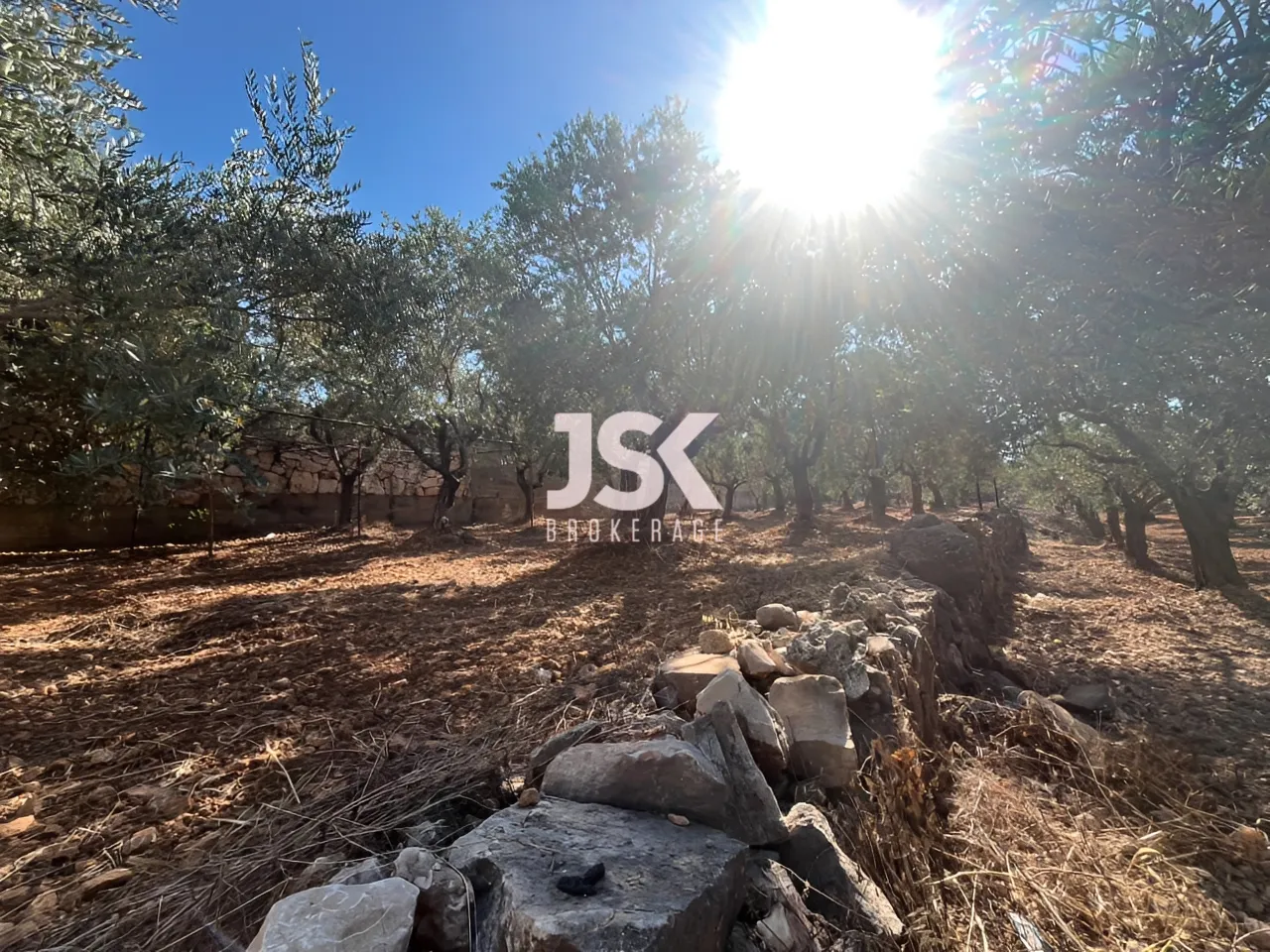 Land for Sale in Koura