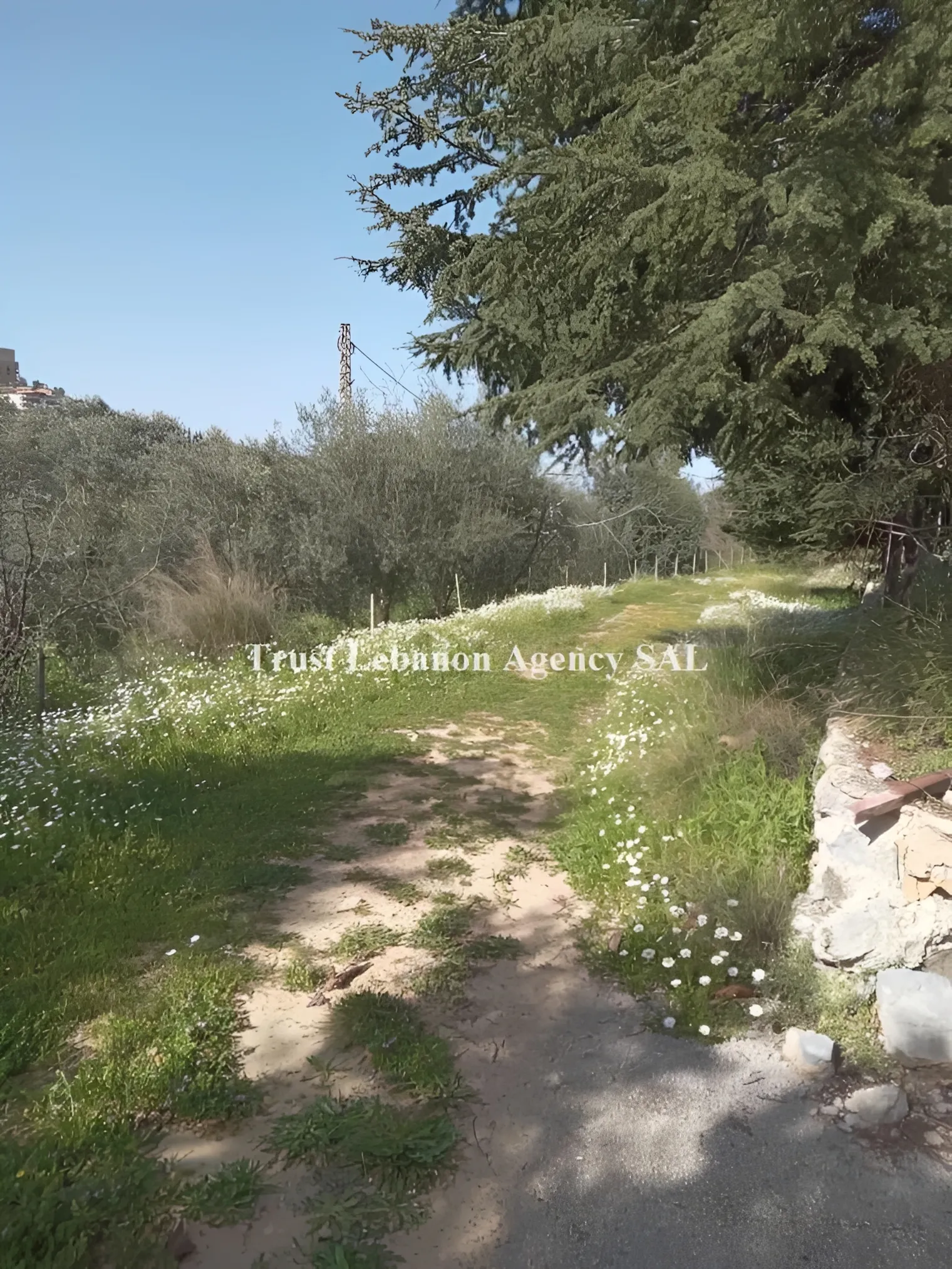 Land for Sale in Metn Miyesseh Lebanon