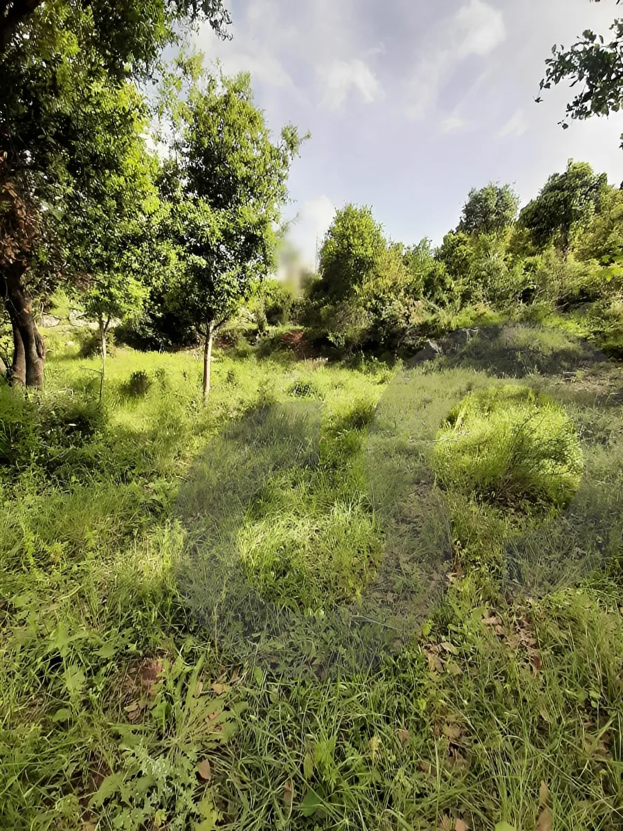 Land for Sale in Aamchit, Lebanon