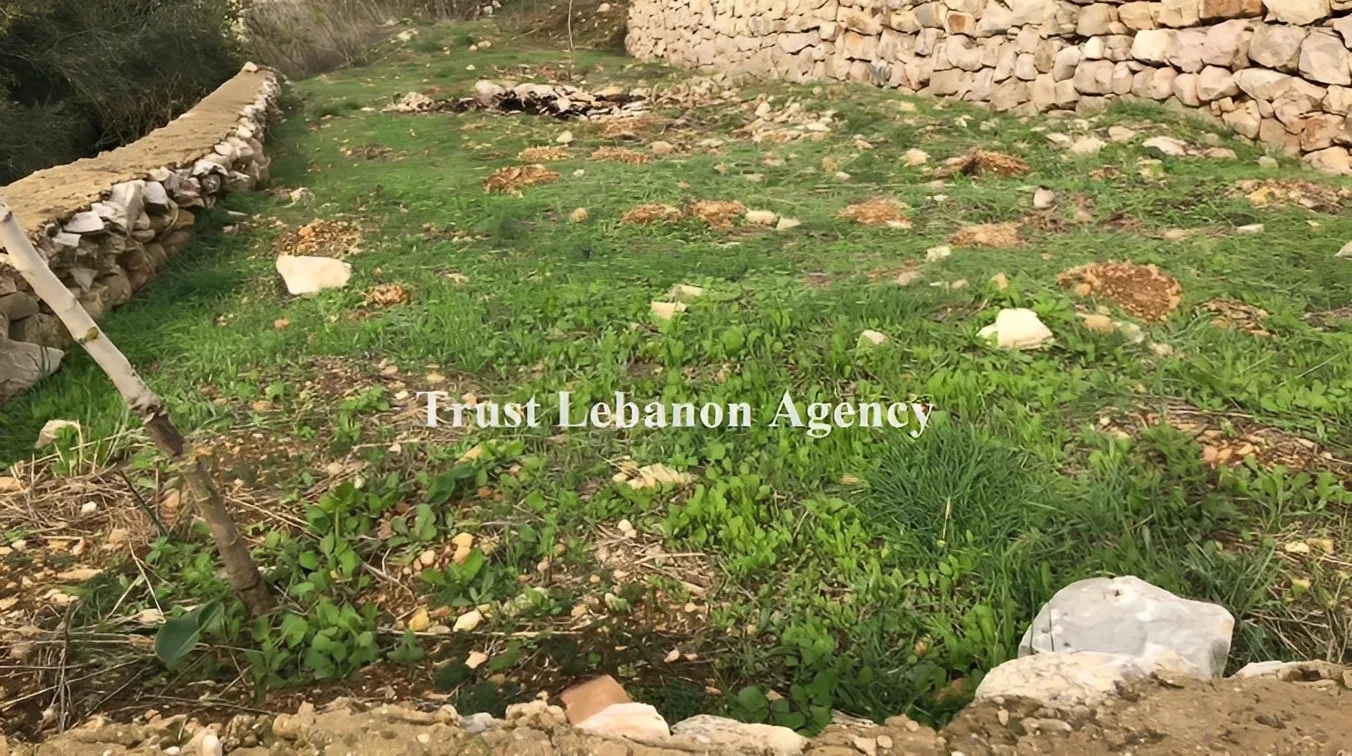 Land for Sale in Nabatiye, Ain qana