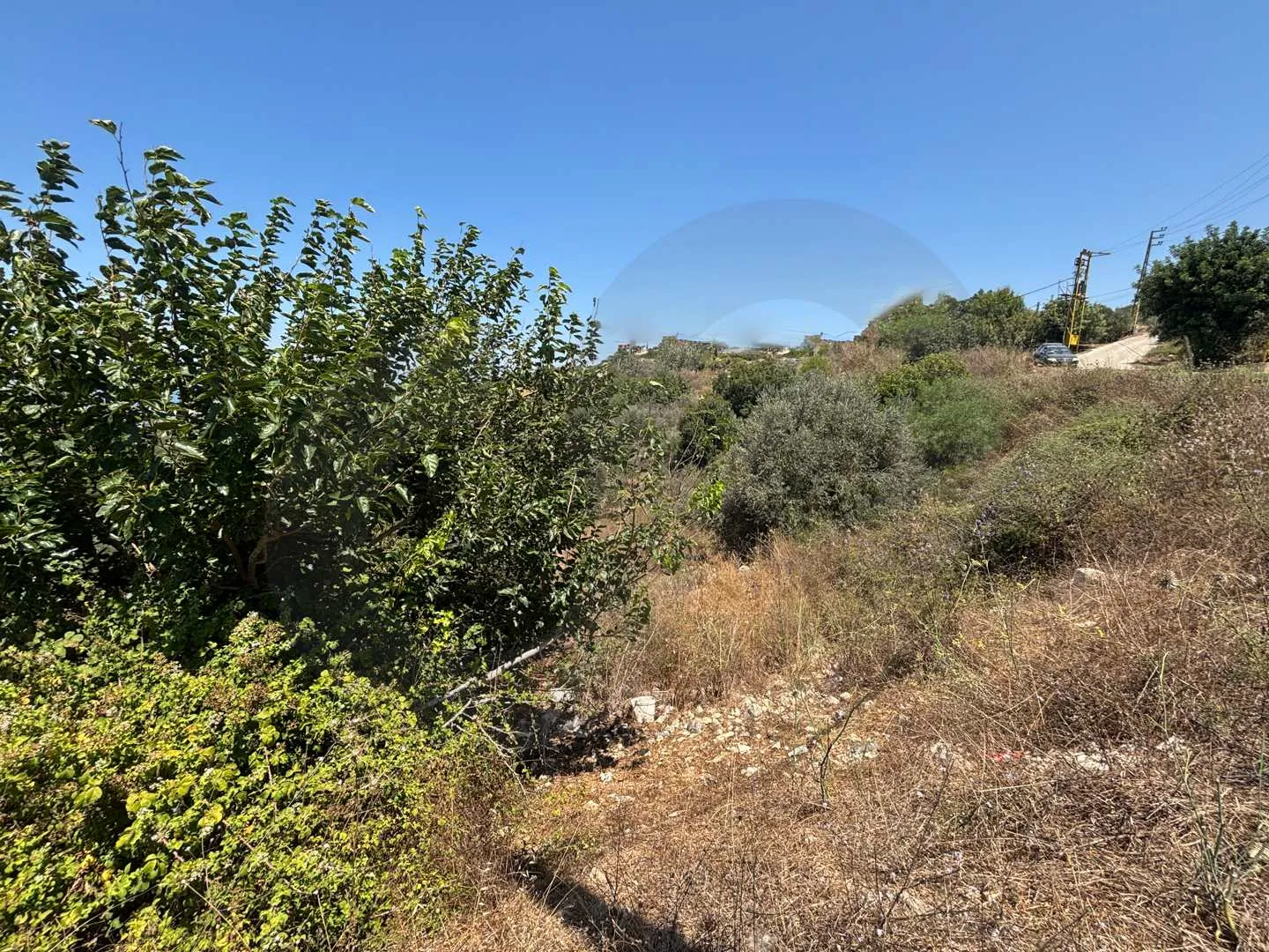 Land for Sale in Batroun