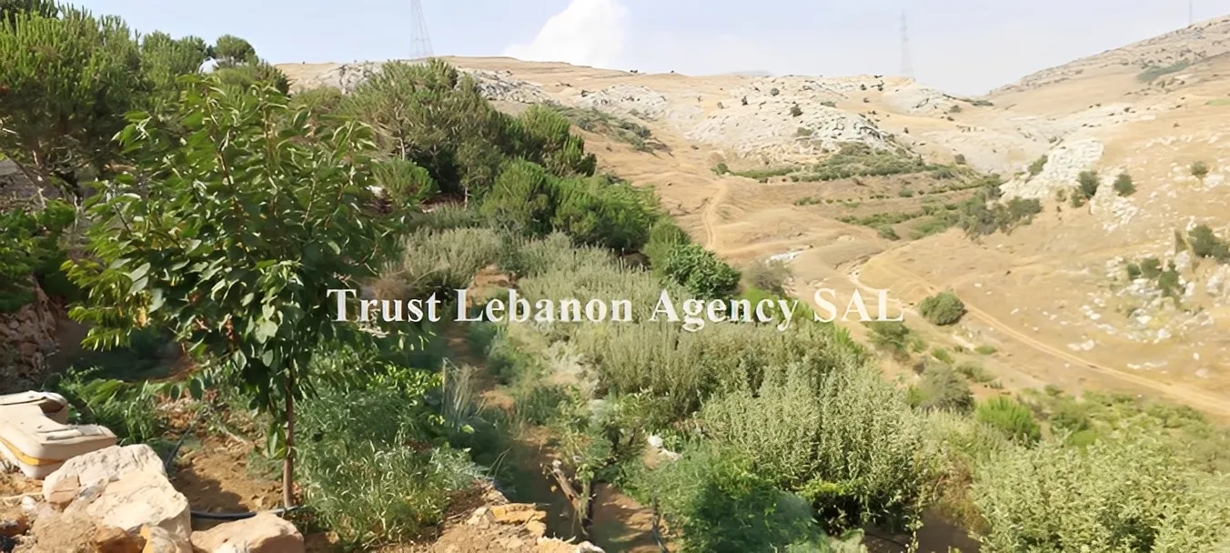 Land for Sale in Ain Dara Alay