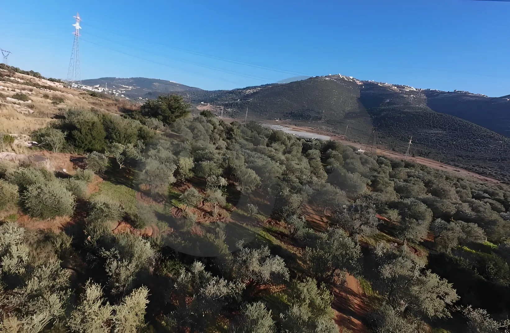 Land for Sale in Zgharta, Lebanon