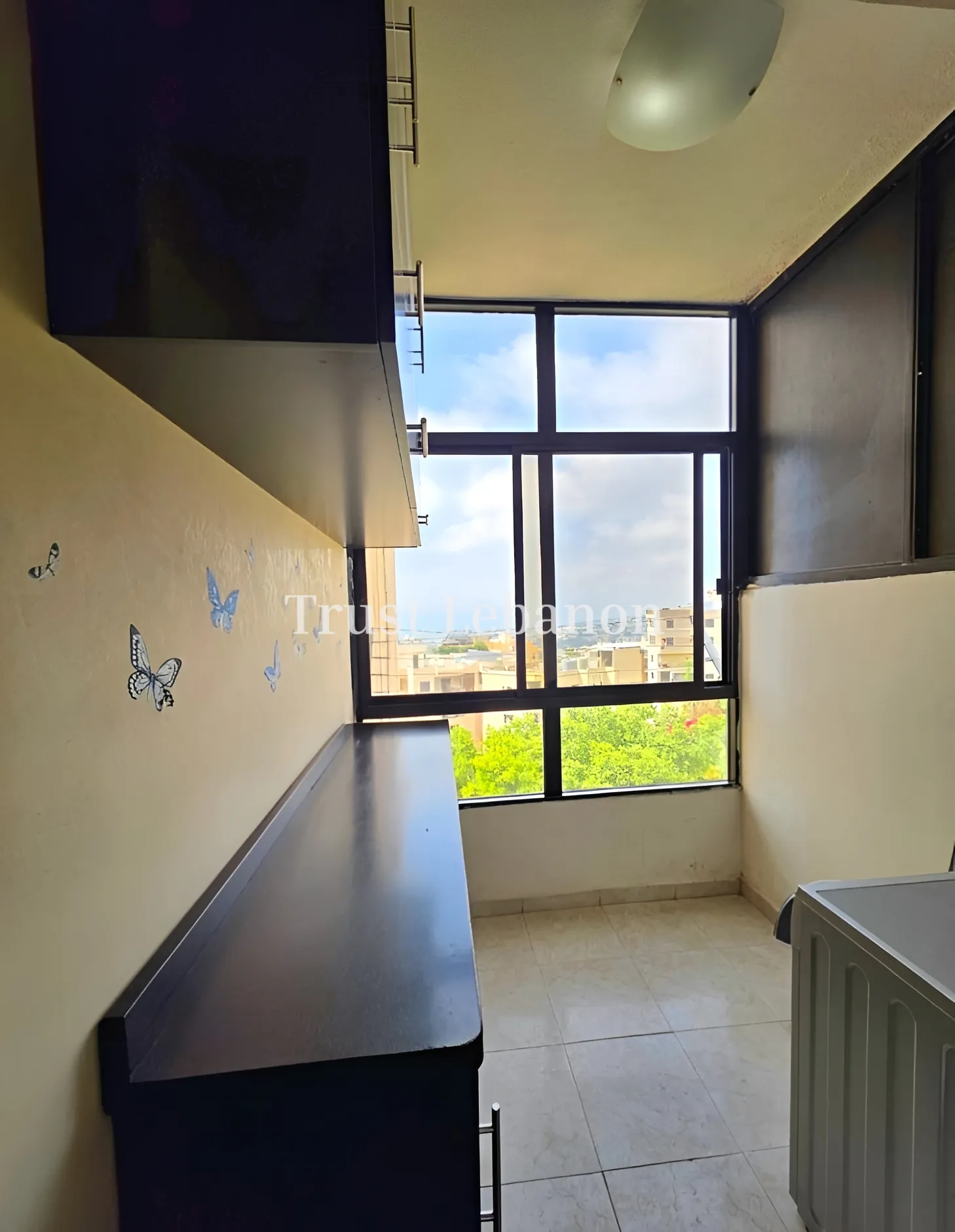 Apartment for rent in Bsalim, Lebanon