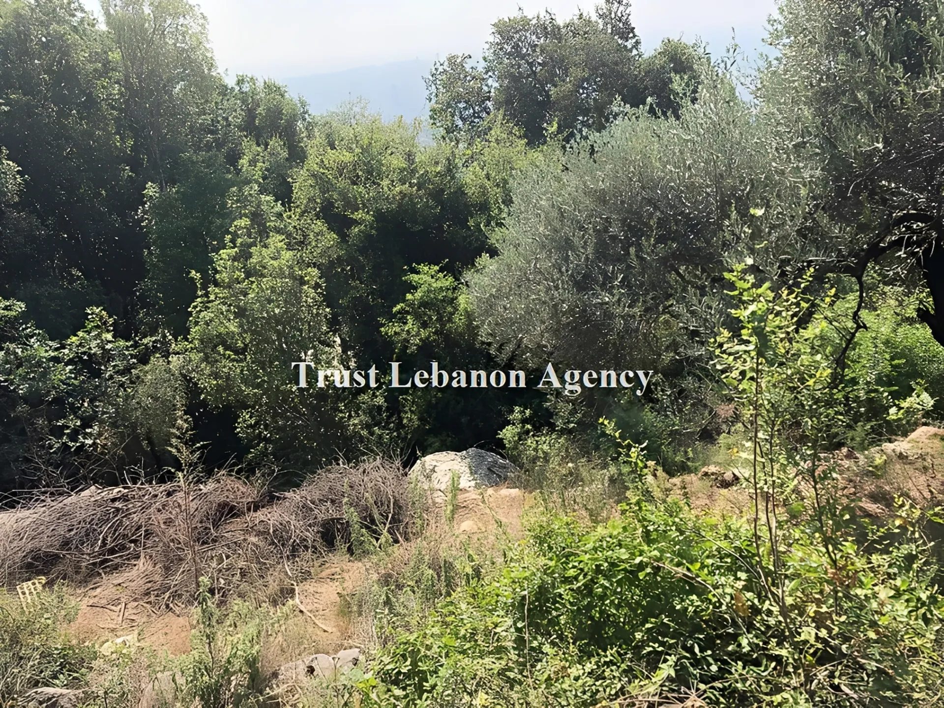 Land for Sale in Metn Ain saade Lebanon