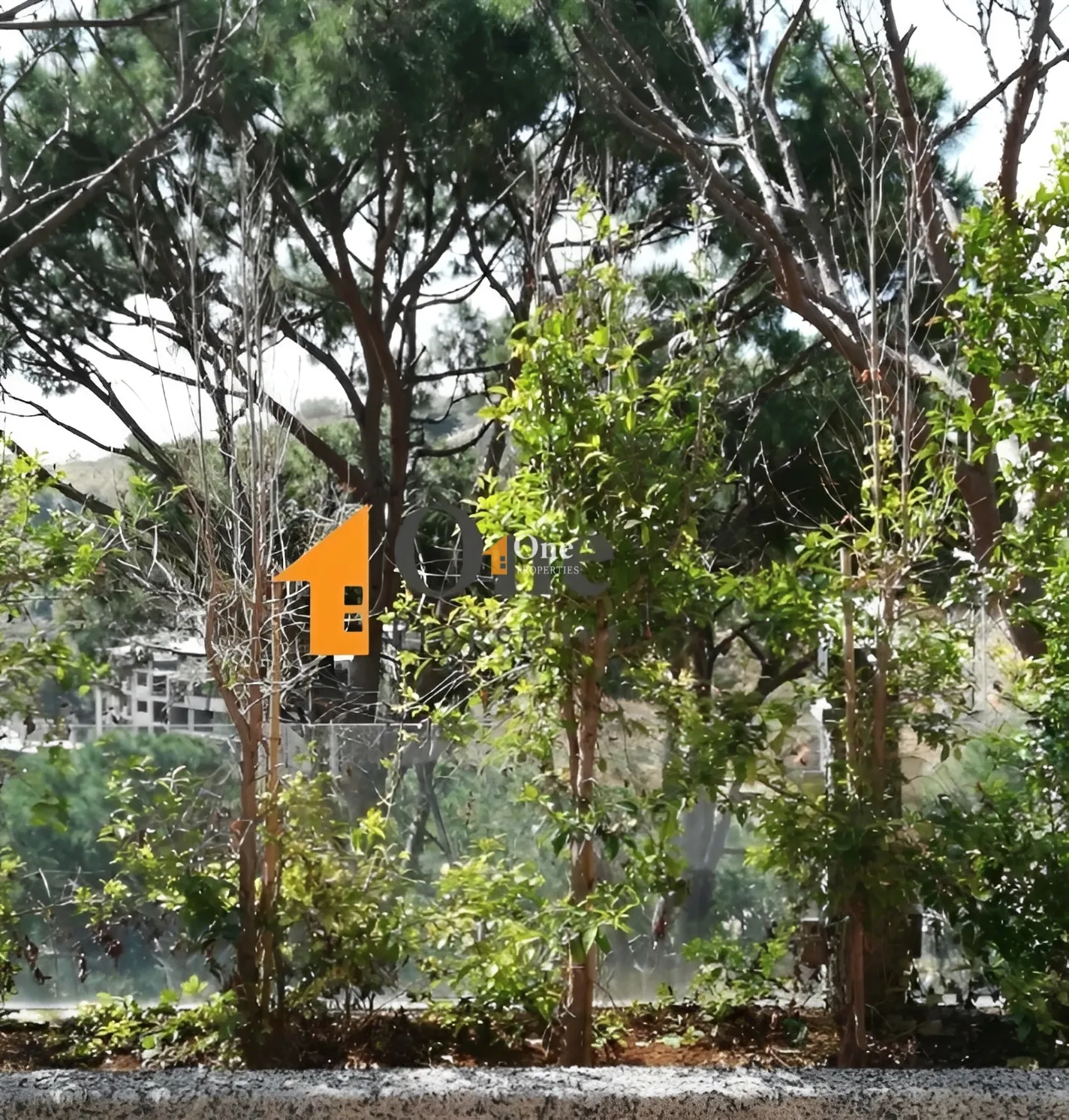 Apartment for rent in Mkalles, Lebanon - 1 bed, 1 bath